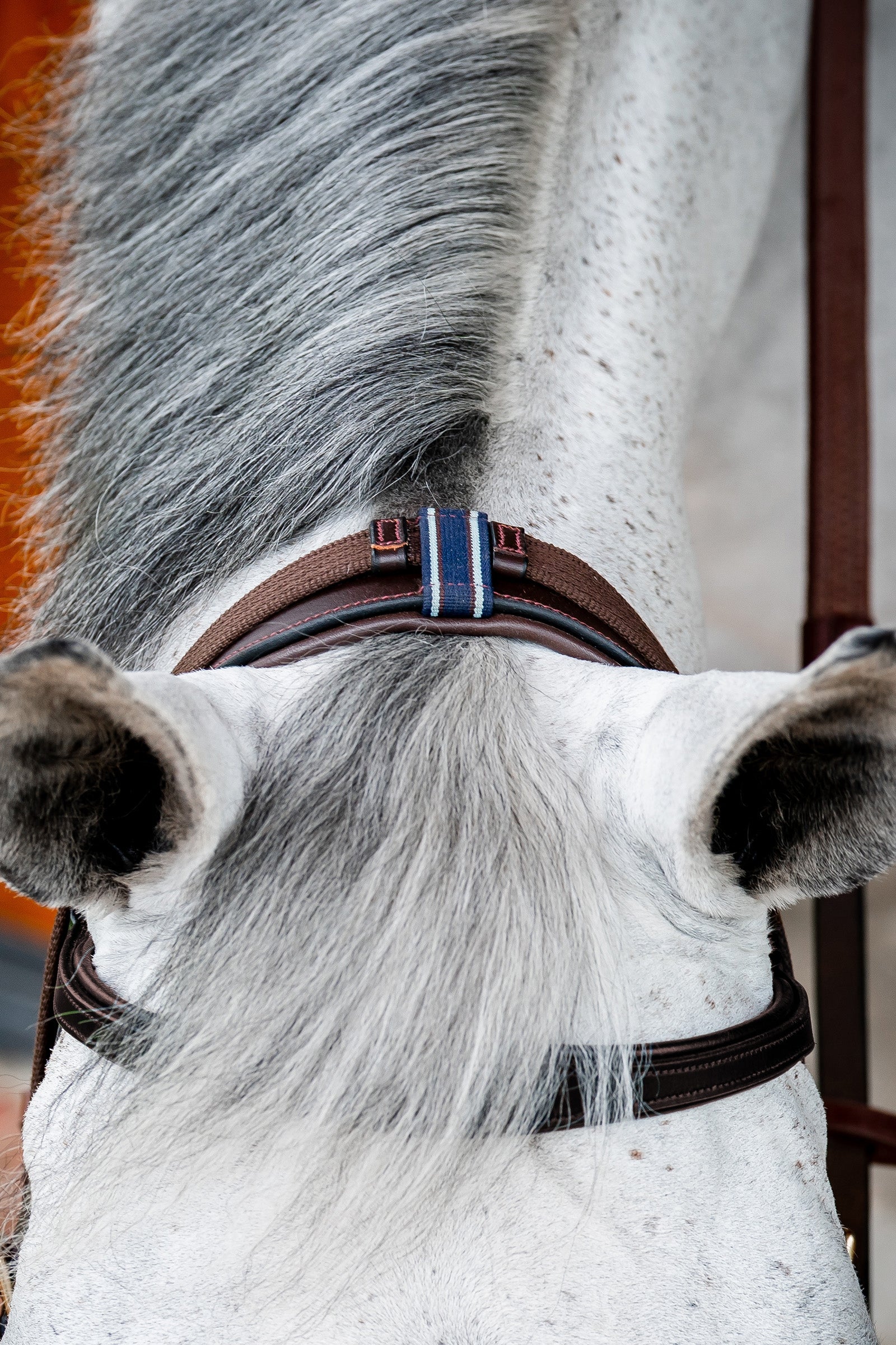 Horseware Micklem 2 Multi Bridle Bridles & Reins