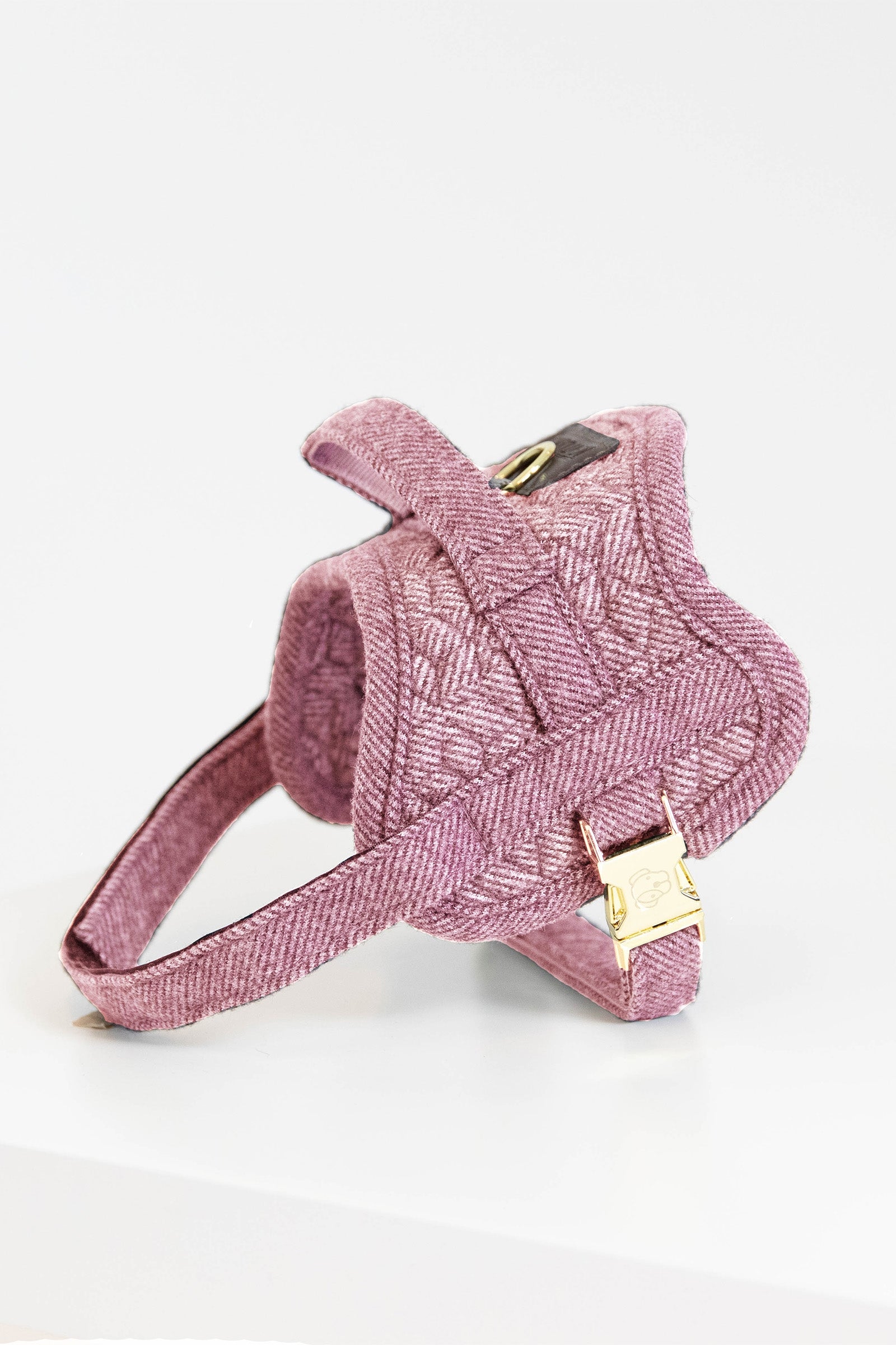 Kentucky Dogwear Body Safe Hundegeschirr Hund