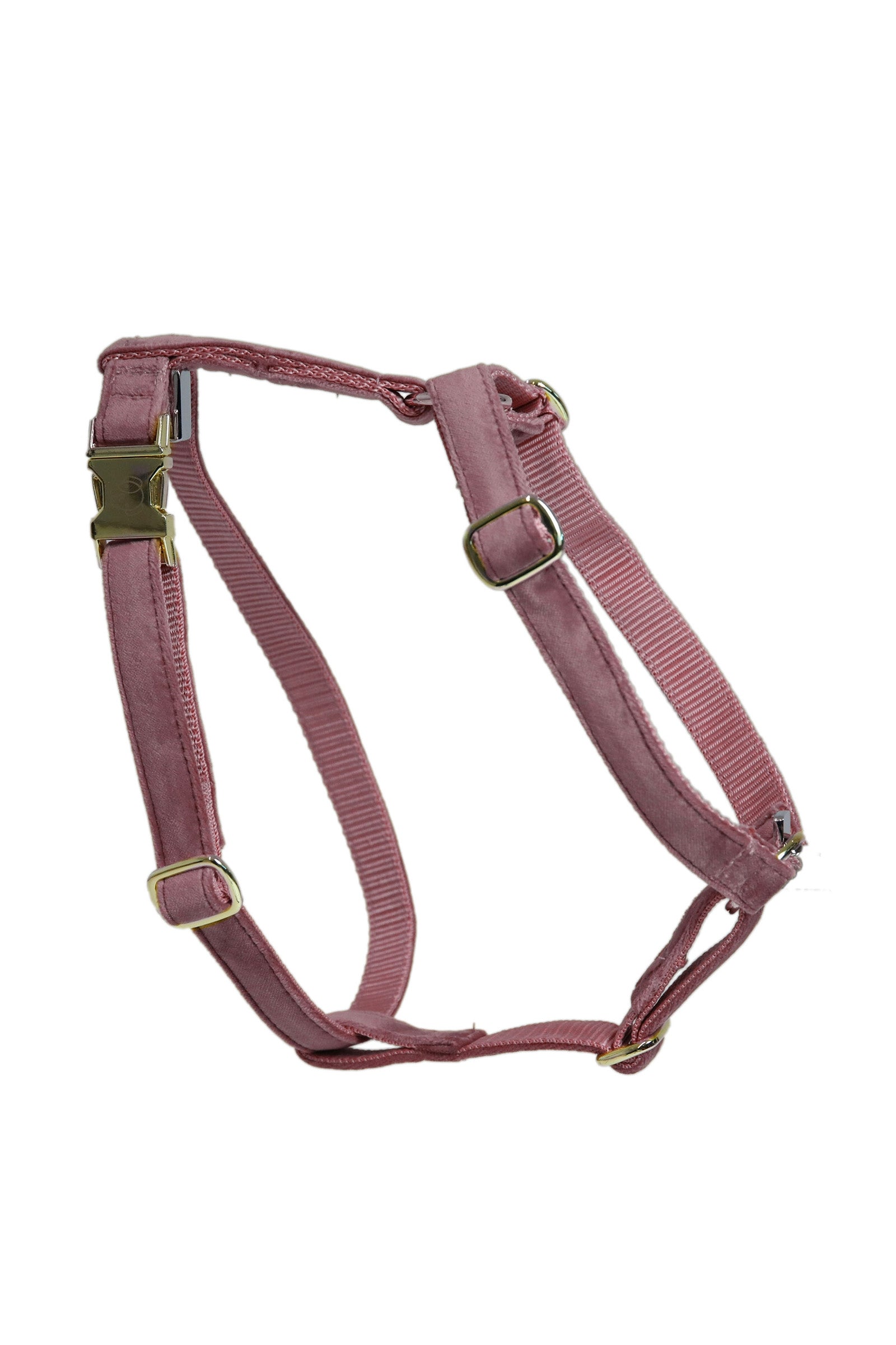 Kentucky Dogwear Loop Velvet Hundegeschirr Hund