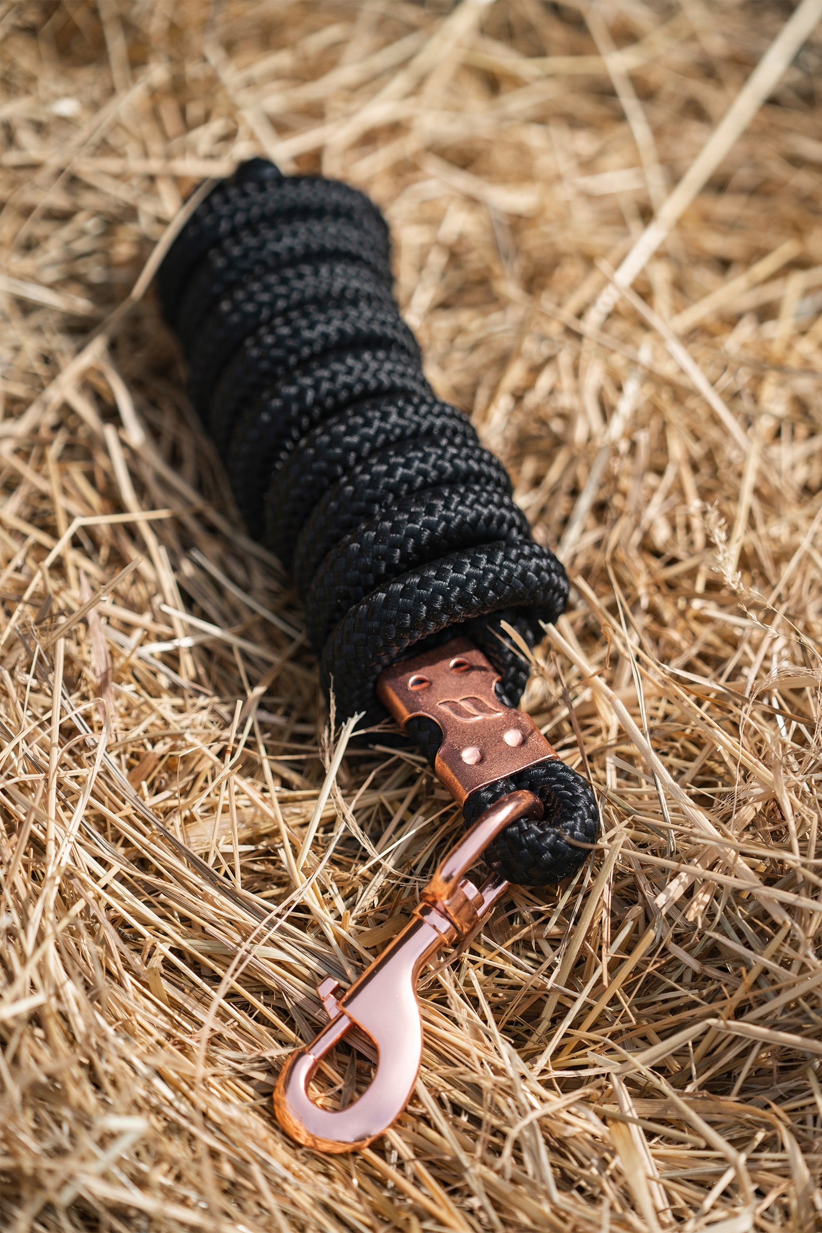 Back on Track Ace Führstrick Halfter & Stricke