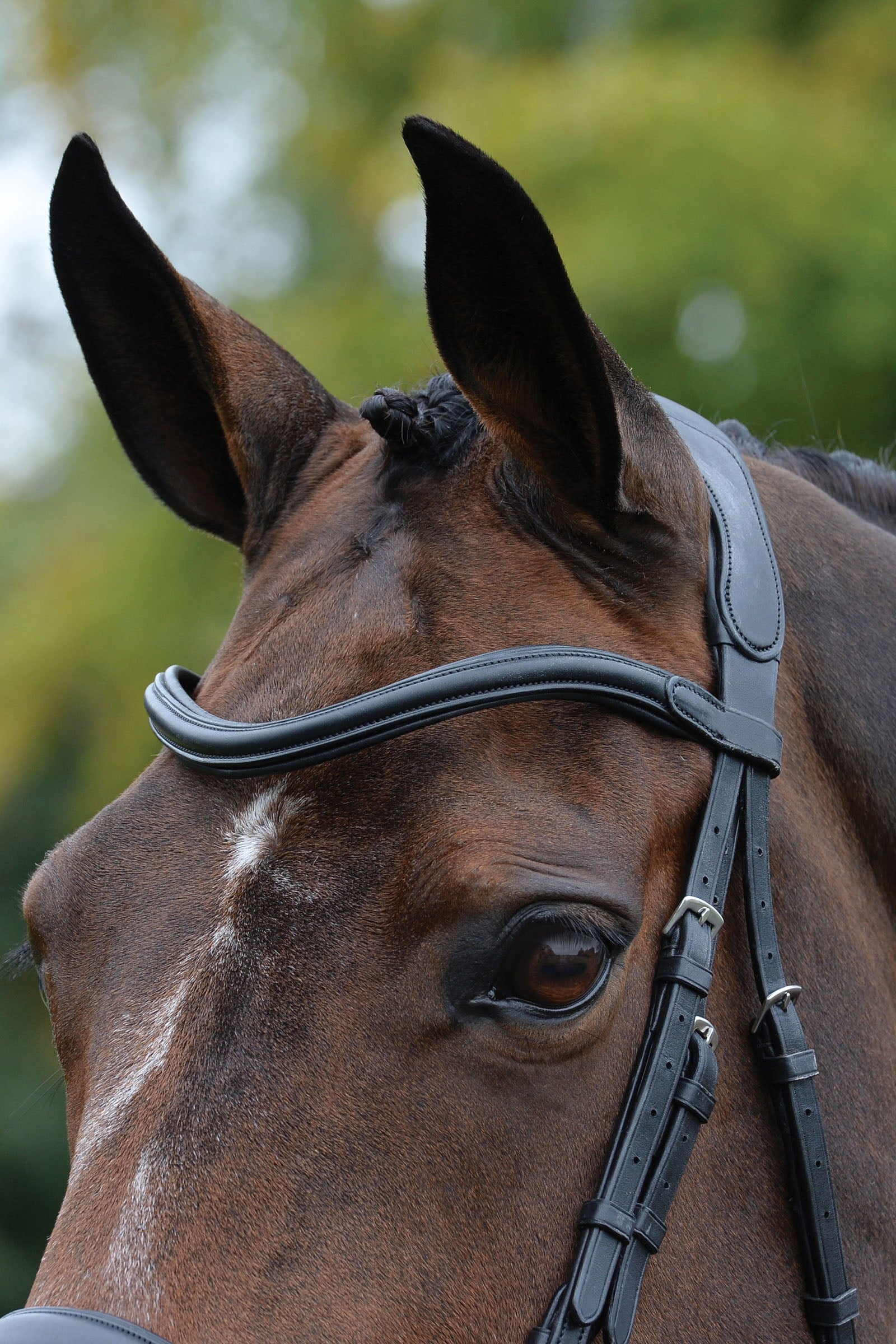 Collegiate Comfitec Vogue Anatomical Bridle Bridles & Reins