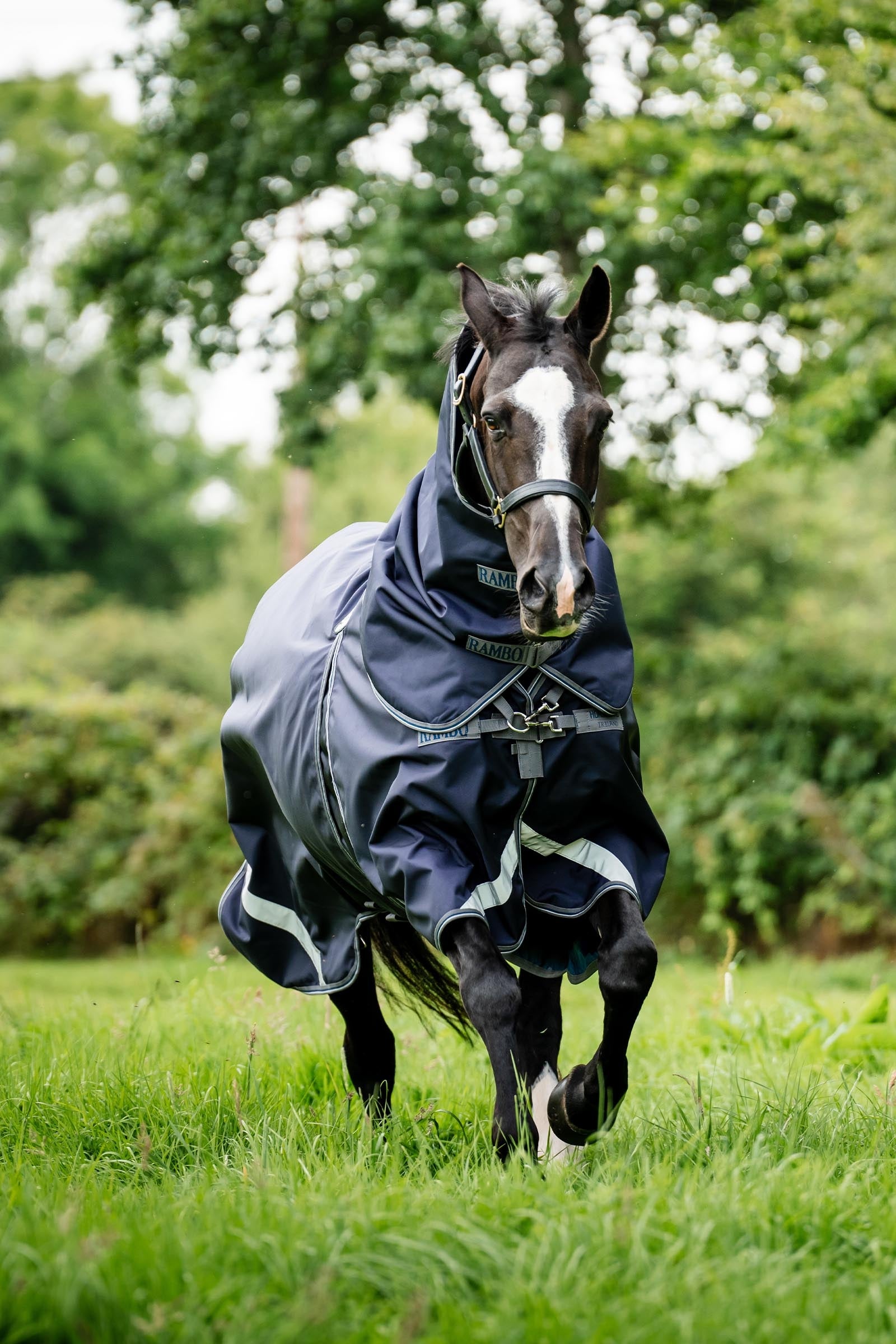 Horseware Rambo Optimo Turnout Plus, 0g Horse Rugs