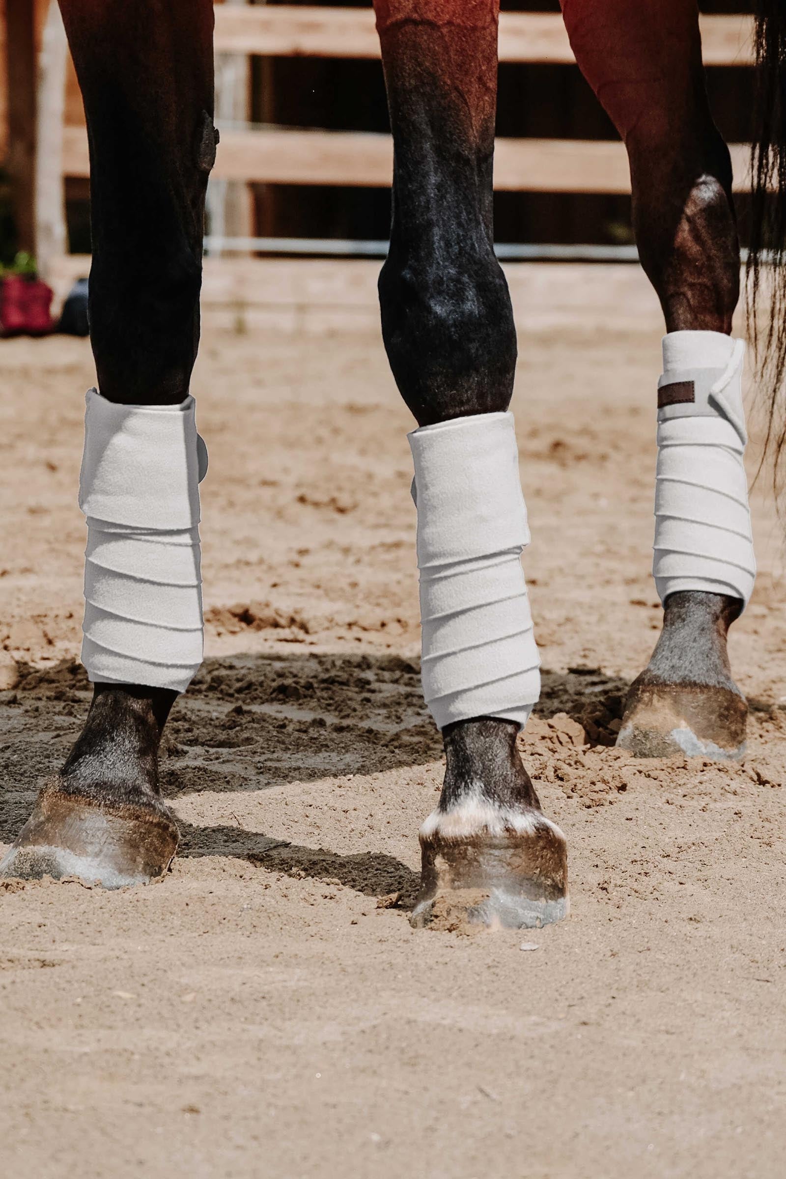 Equi Theme EQUITHÈME Polo Bands (3,0 m) Leg & Hoof Protection