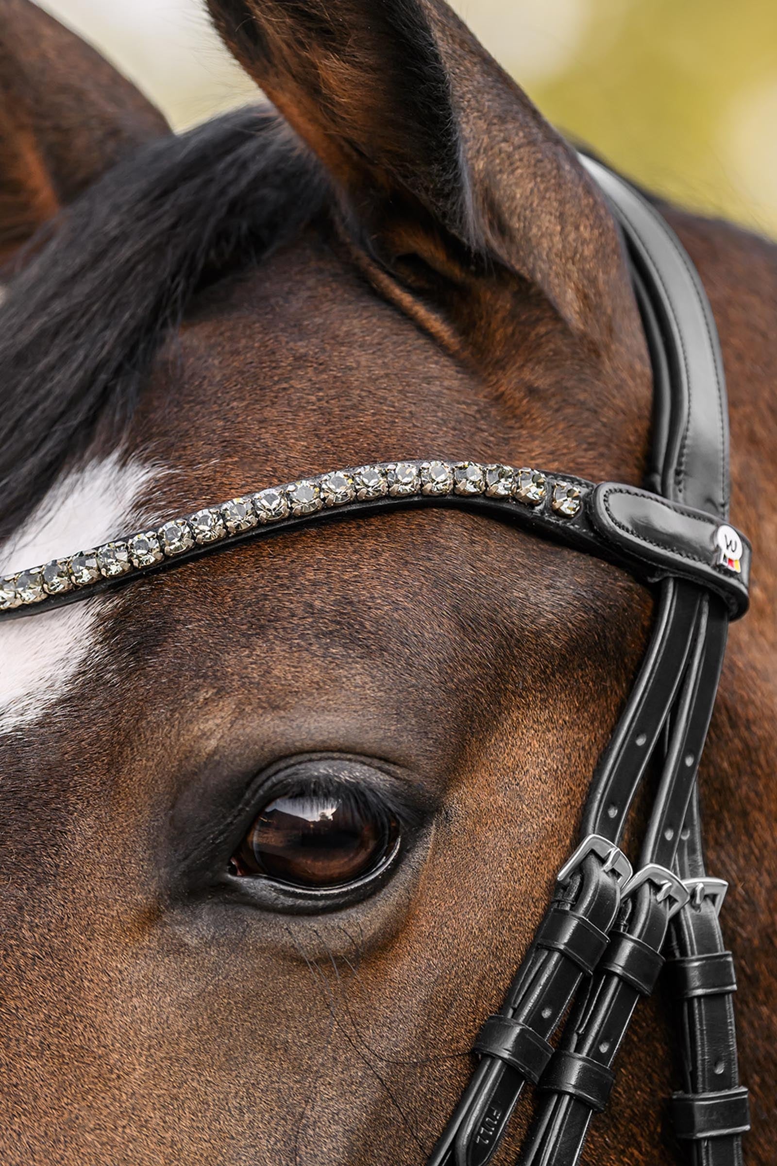 Waldhausen X-Line Shine Browband Bridles & Reins