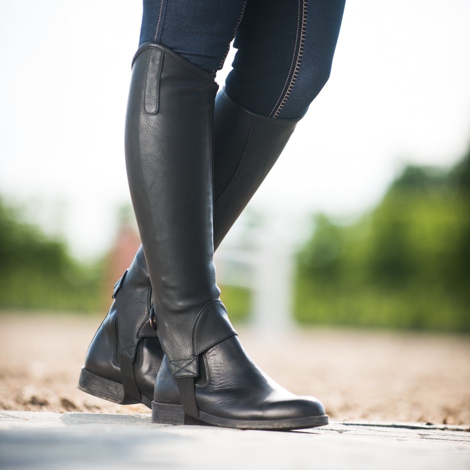 Horze Desta Synthetic Half Chaps Riding Boots & Riding Shoes