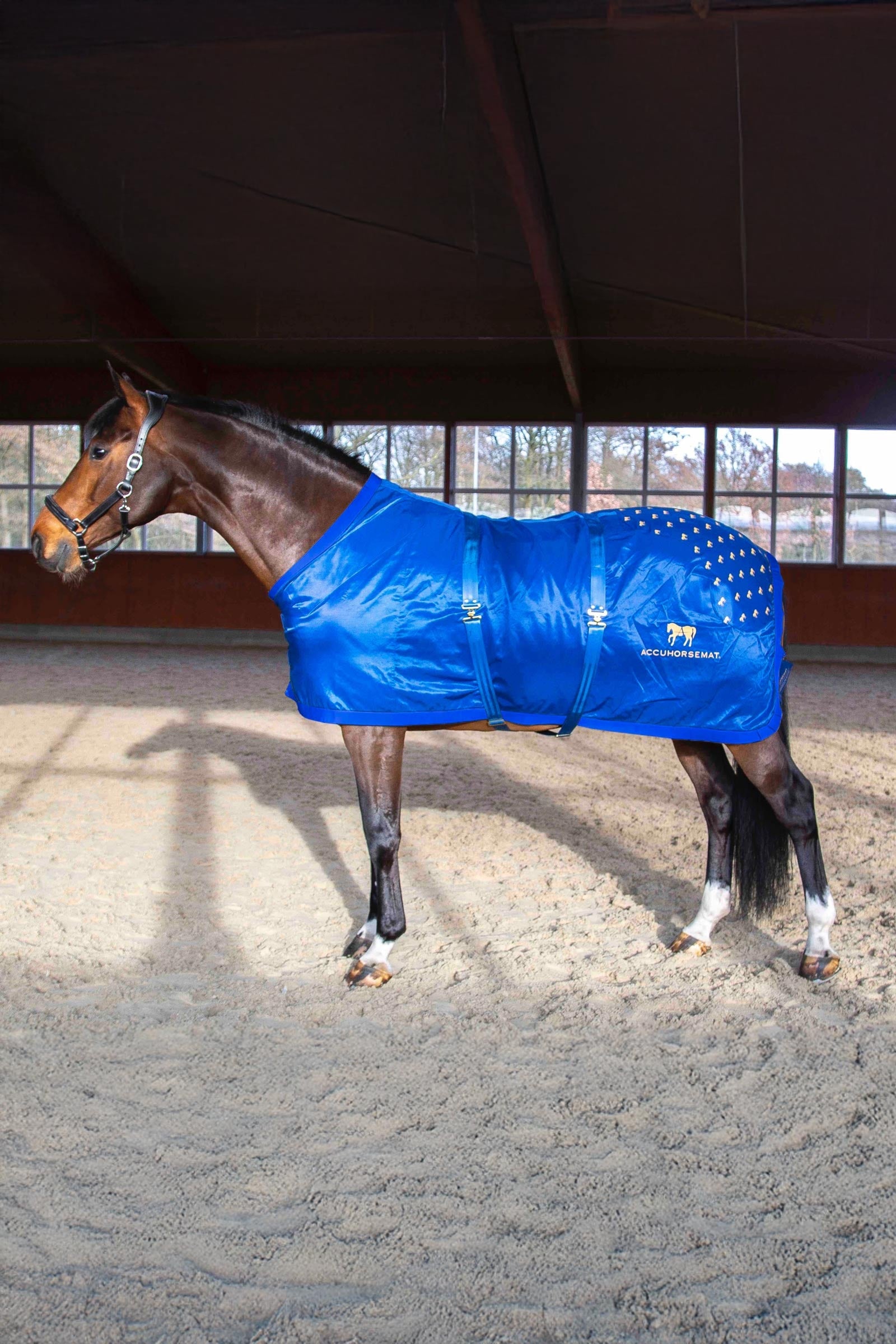Accuhorsemat Original Pferdedecken