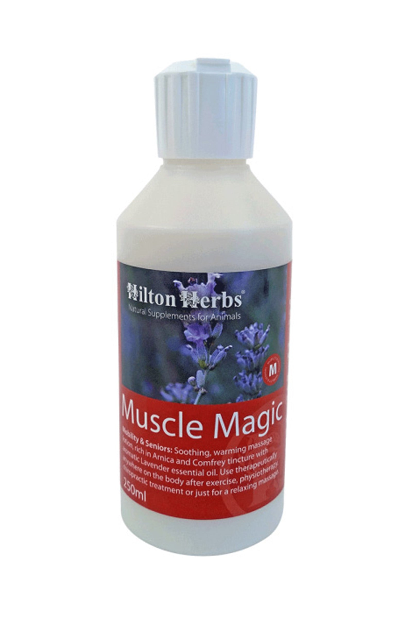 Hilton Herbs Muscle Magic 250ml Pflege