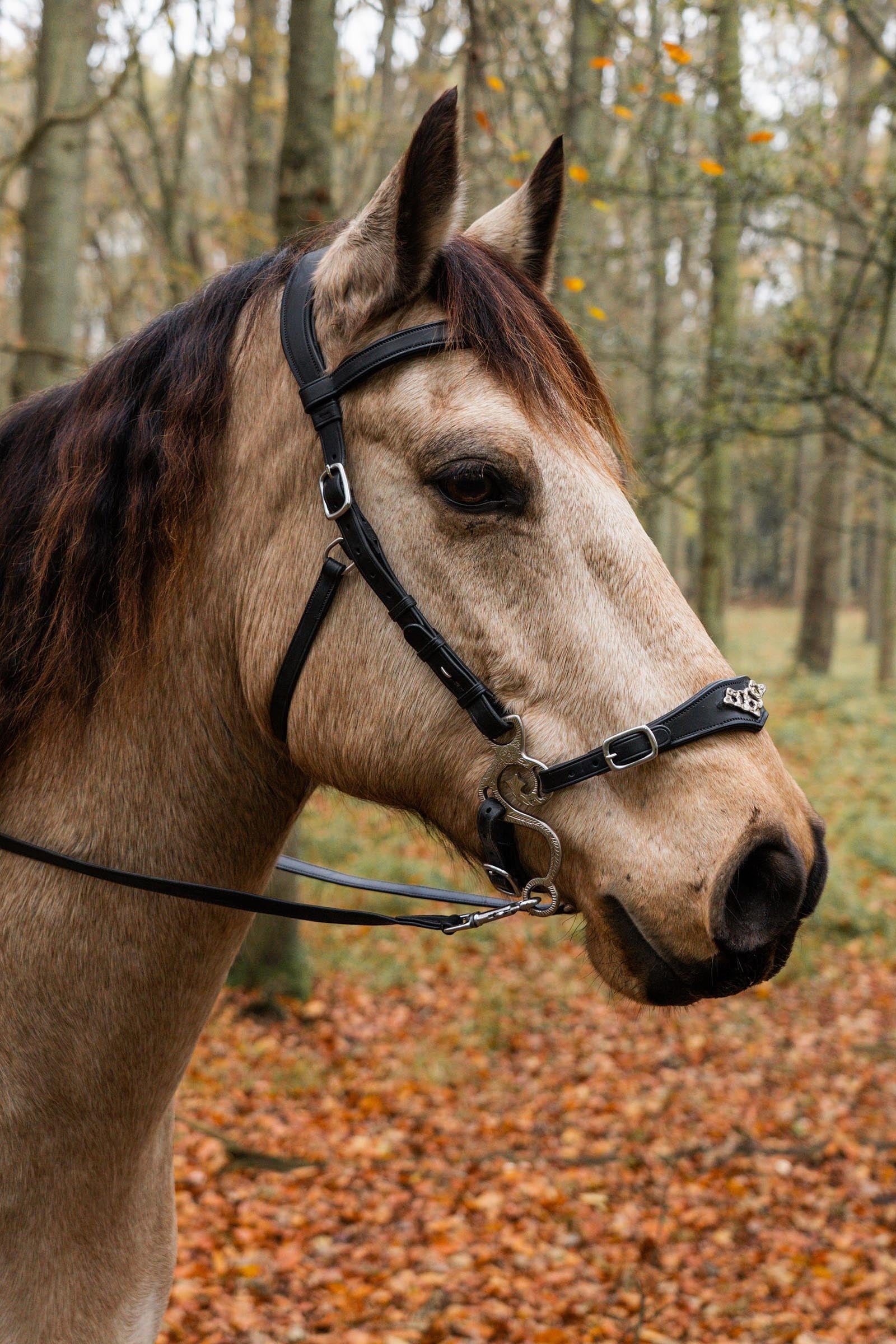 F.R.A. Freedom Riding Articles Imperial Hackamore Bridle With Reins (System 2) Bridles & Reins