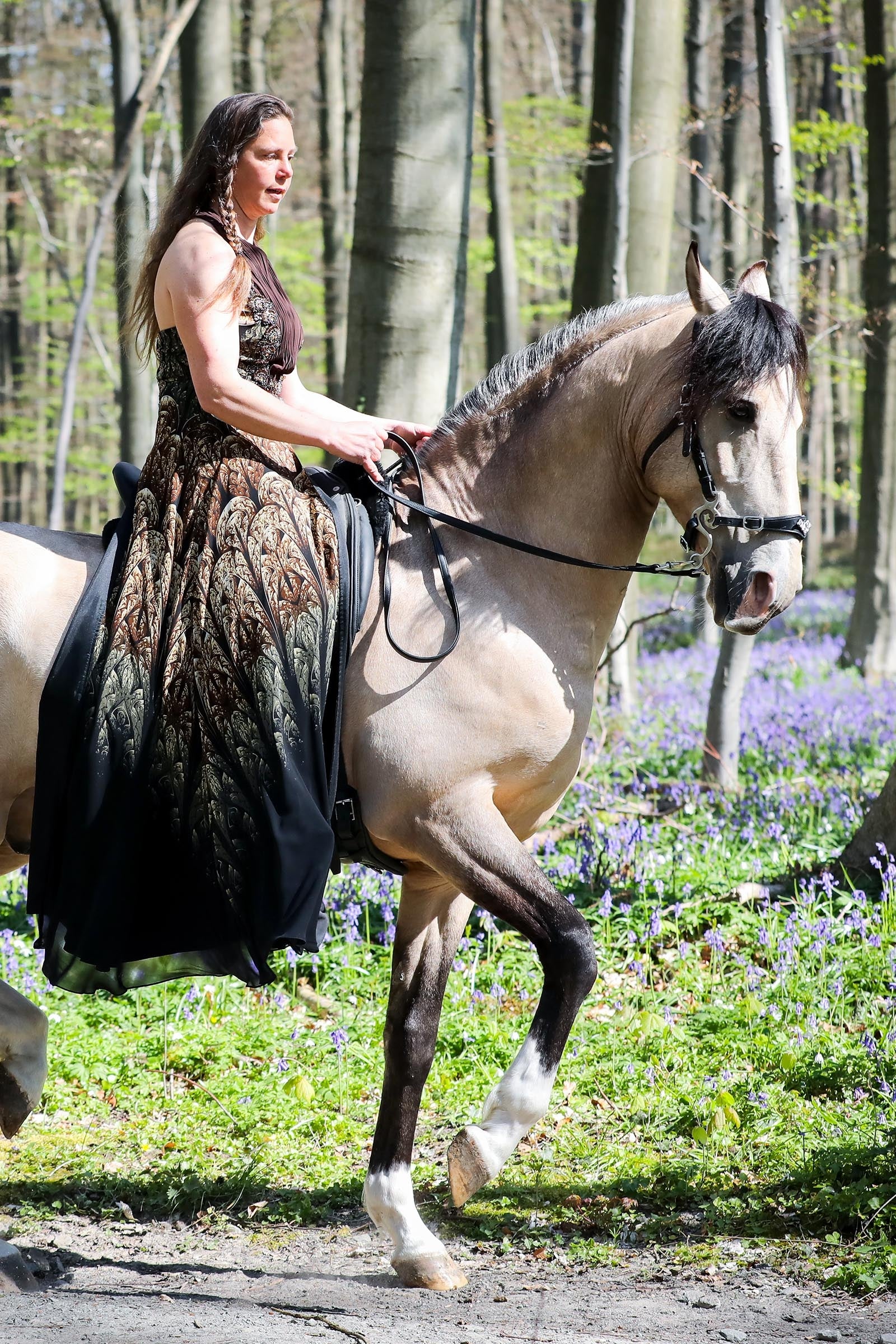 F.R.A. Freedom Riding Articles Imperial Hackamore Bridle With Reins (System 2) Bridles & Reins