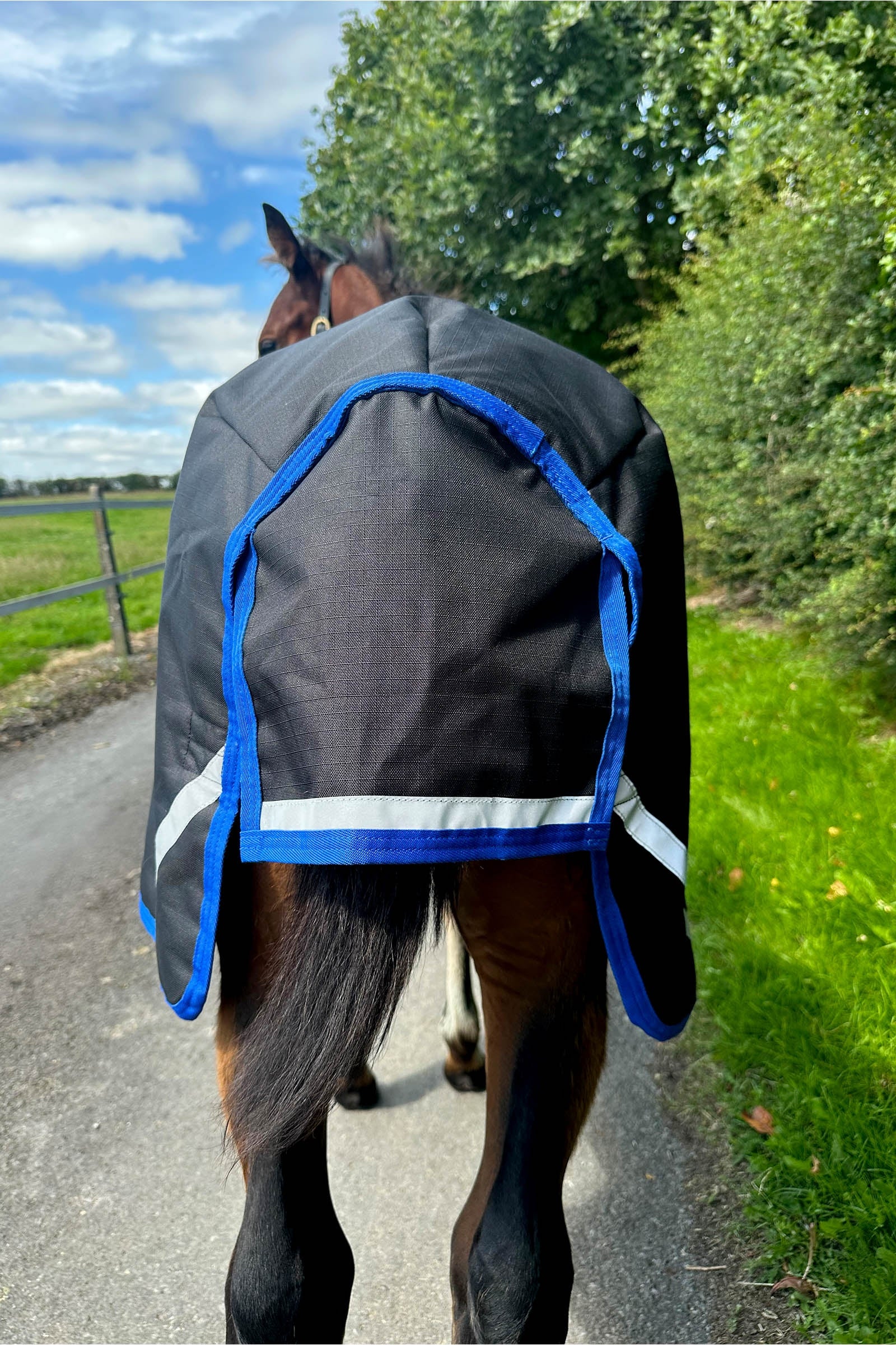 Horseware Amigo Ripstop 900D Foal Turnout 50g Horse Rugs