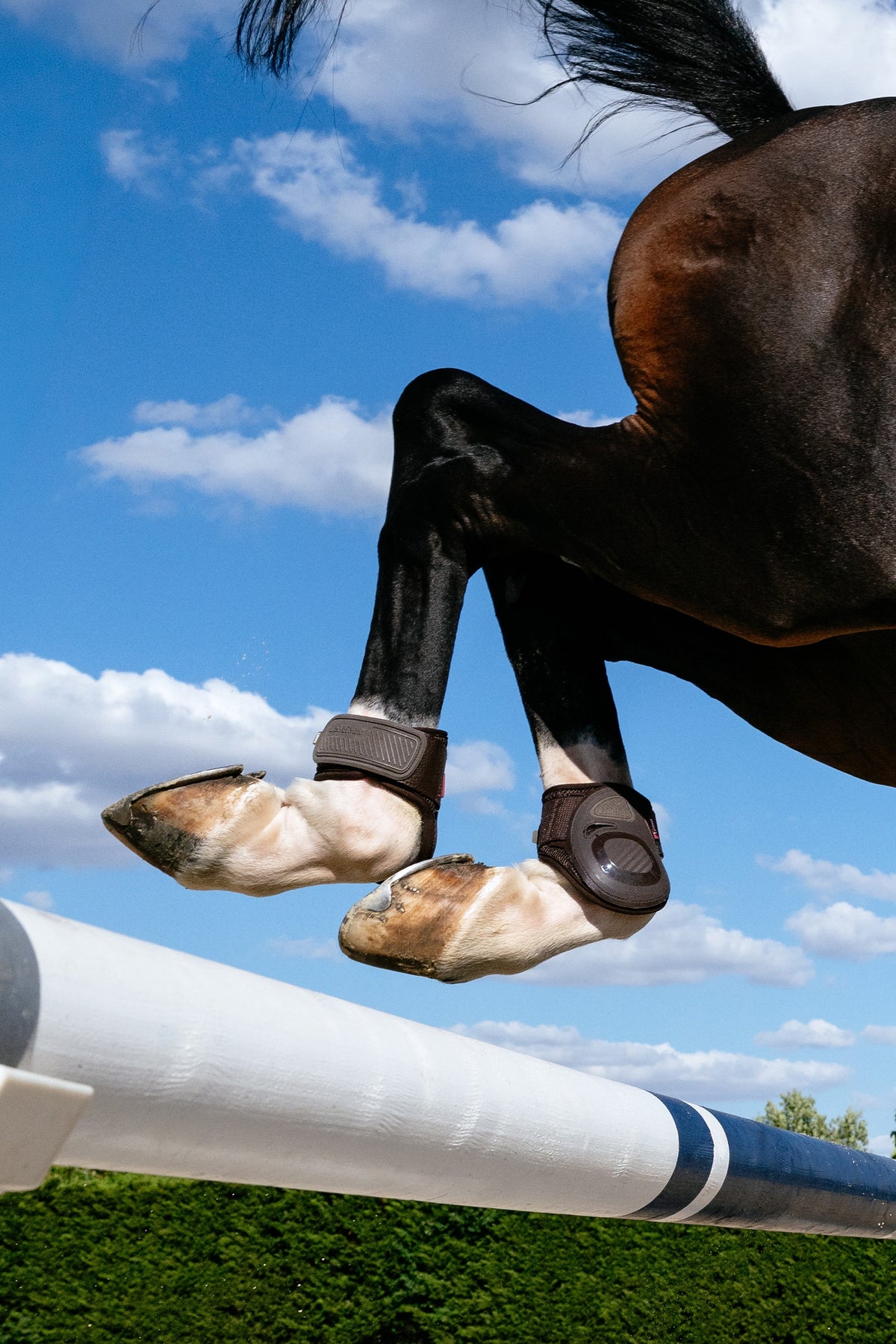 LeMieux Lemieux Compliant Fetlock Boot Leg & Hoof Protection
