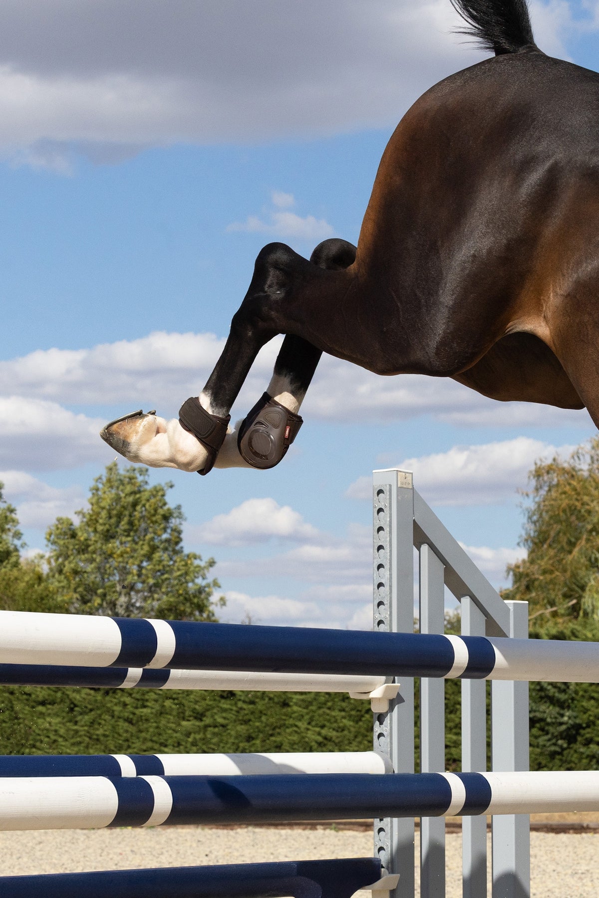 LeMieux Lemieux Compliant Fetlock Boot Leg & Hoof Protection