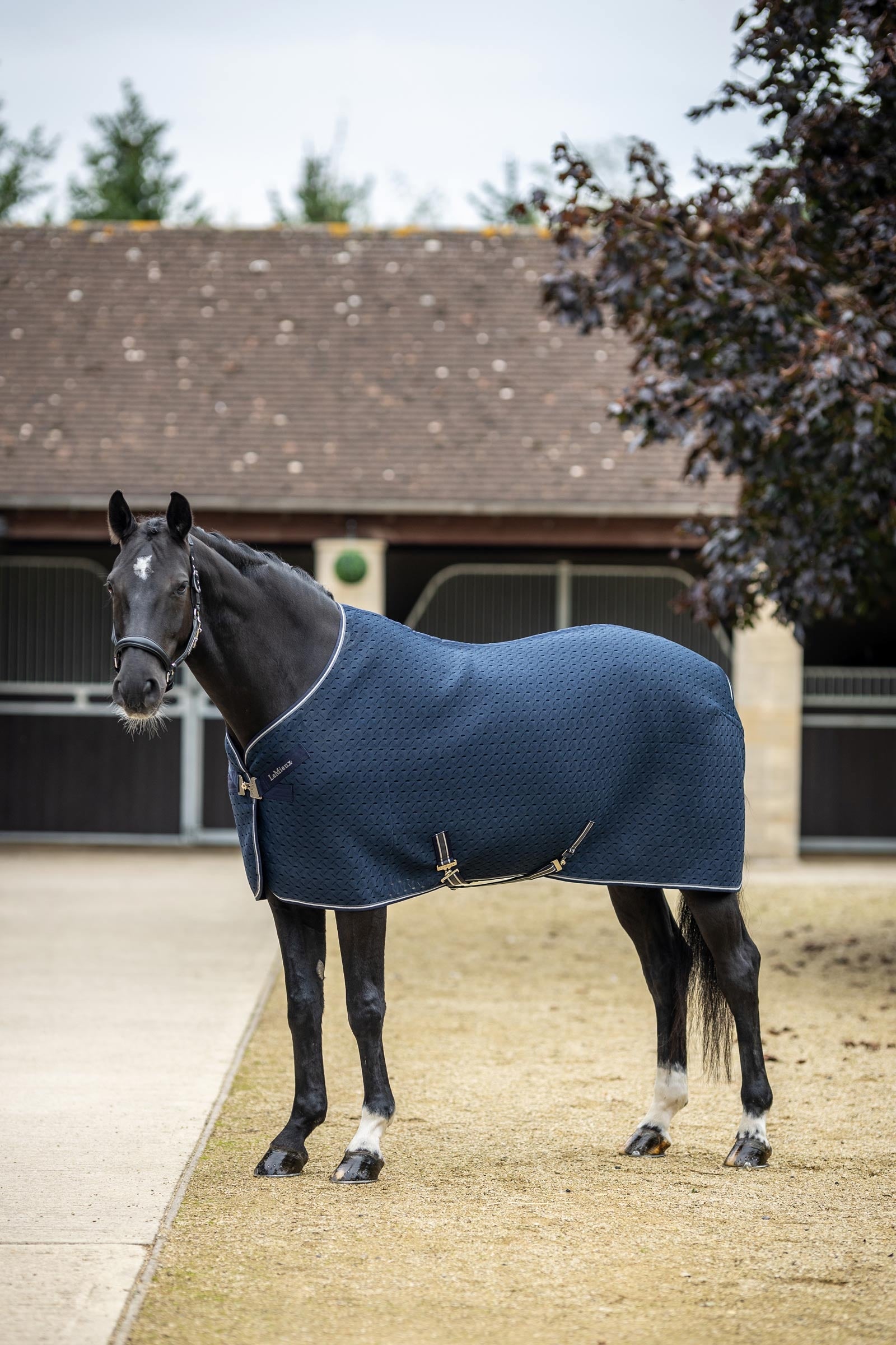 LeMieux Kudos 3D Mesh Travel Rug Horse Rugs