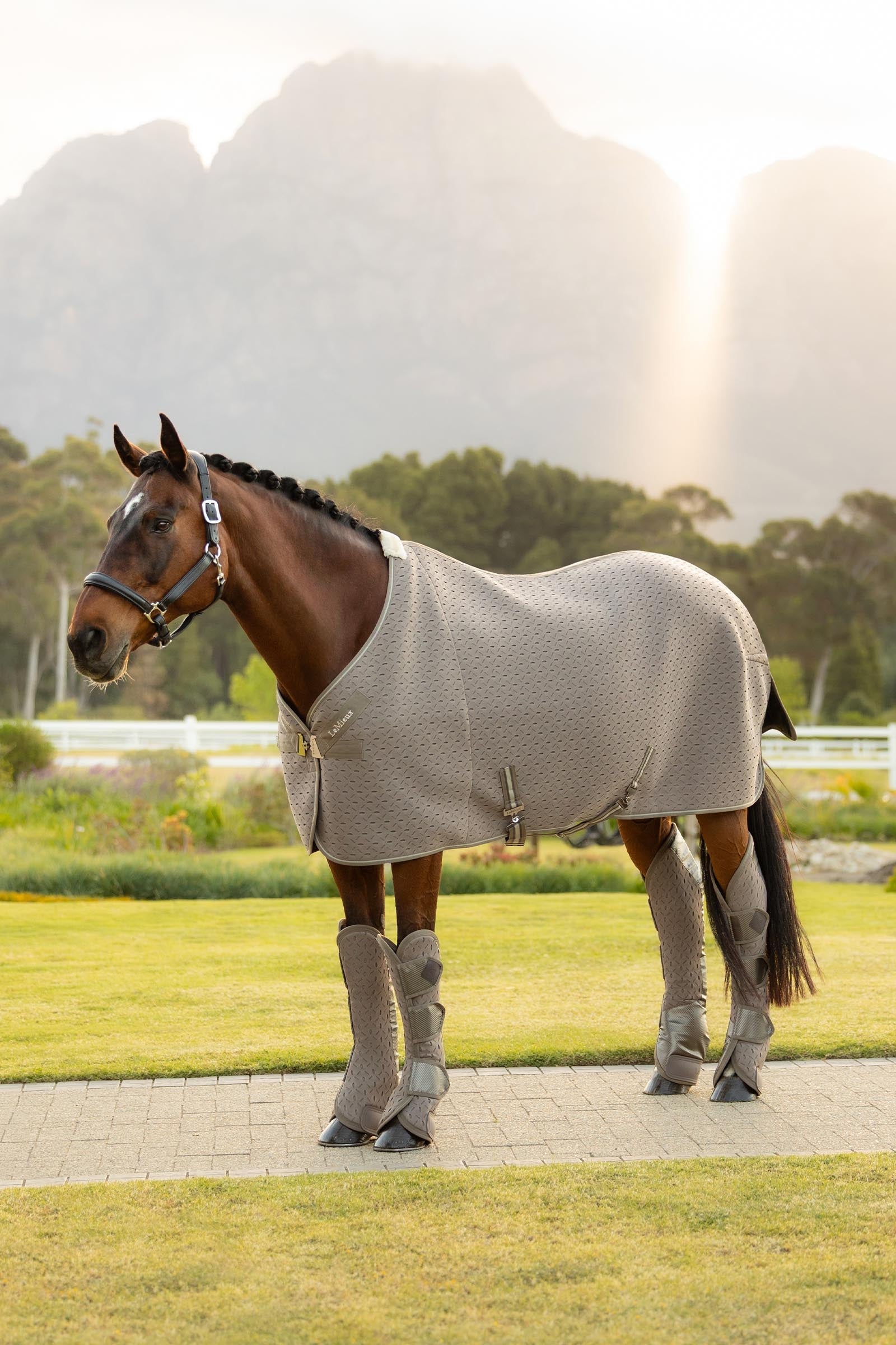 LeMieux Kudos 3D Mesh Travel Rug Horse Rugs