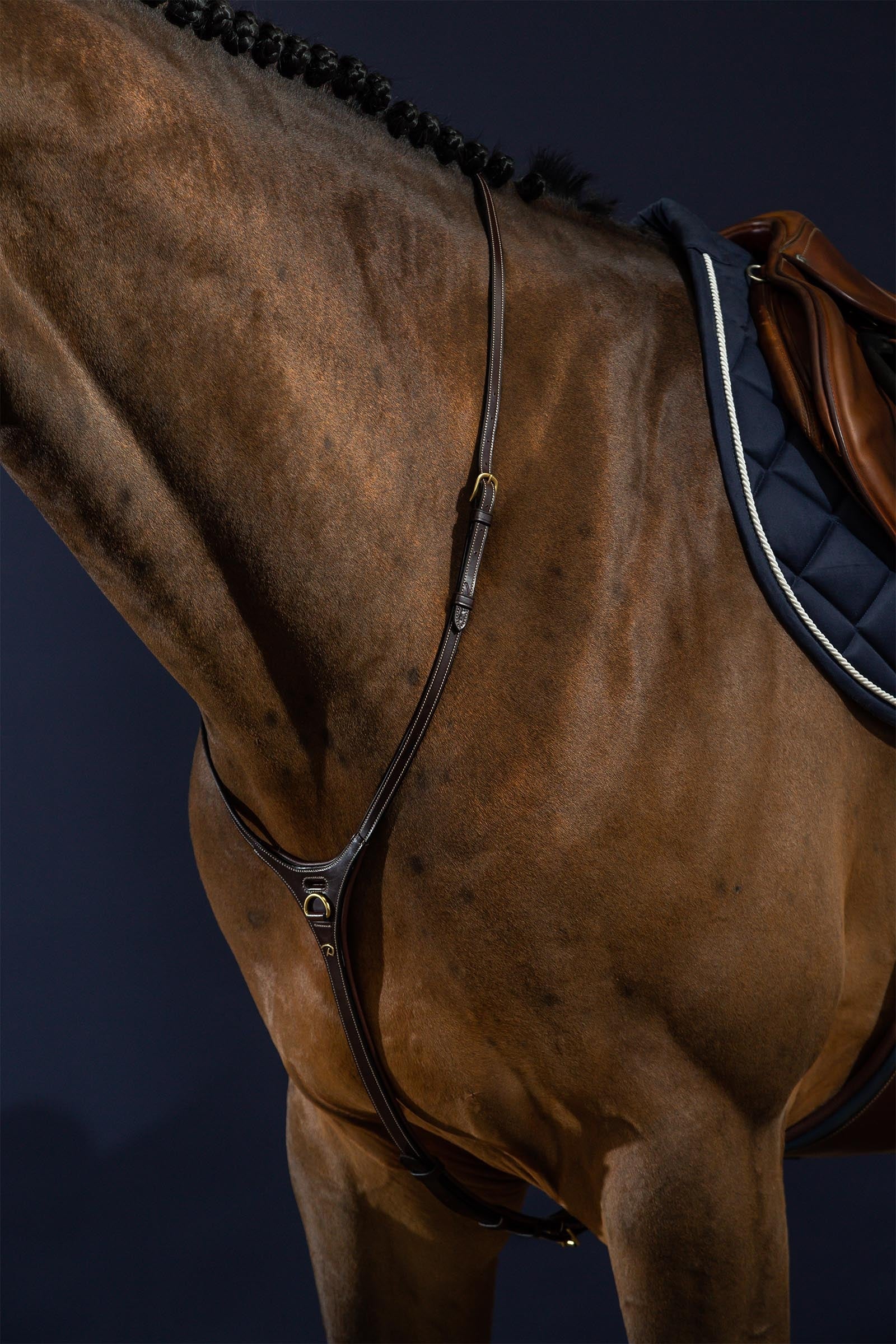 Dy'on D Collection Yoke Bridles & Reins