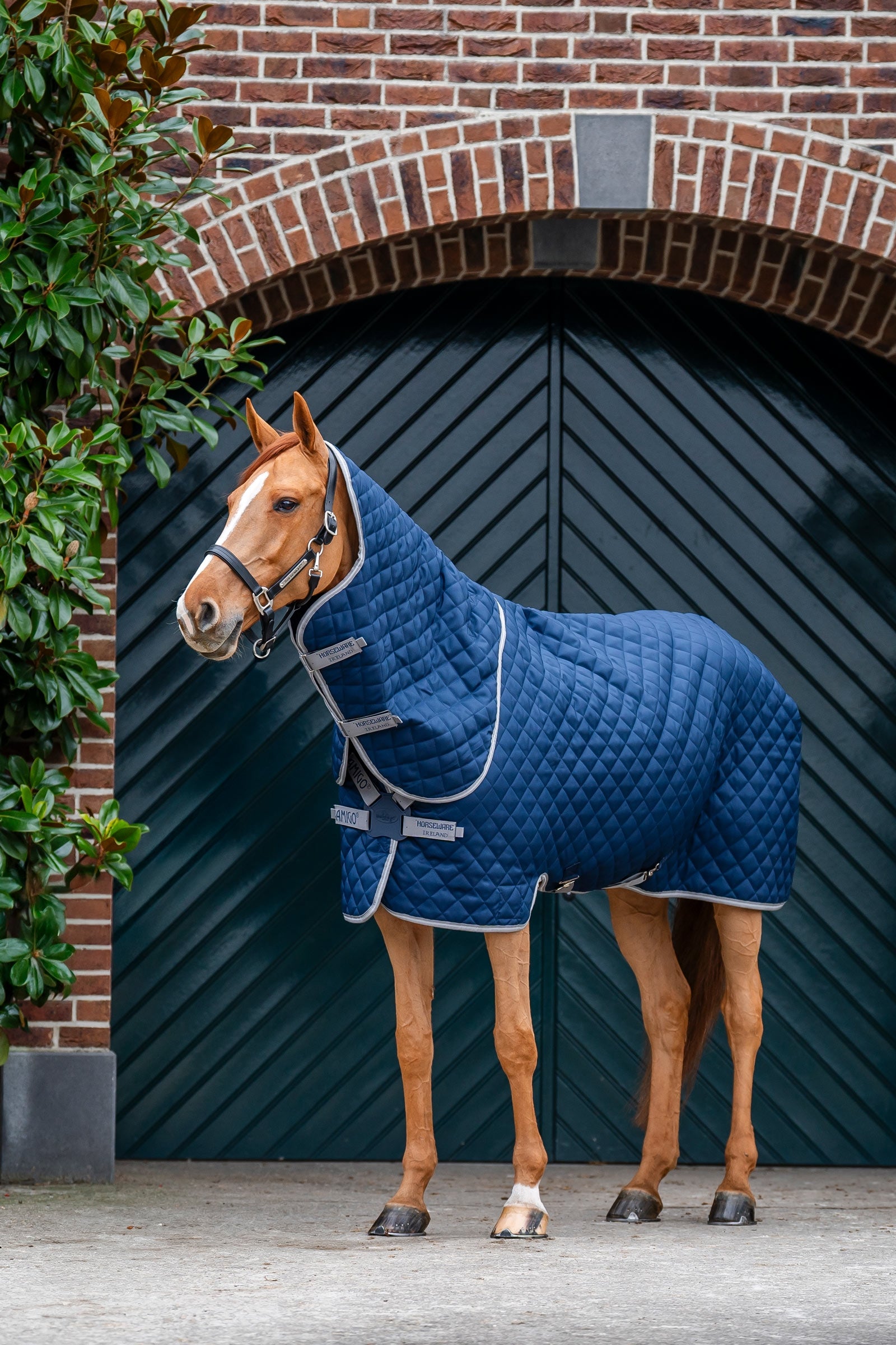 Horseware Amigo Stepp-Stalldecke Plus, 200 g Pferdedecken