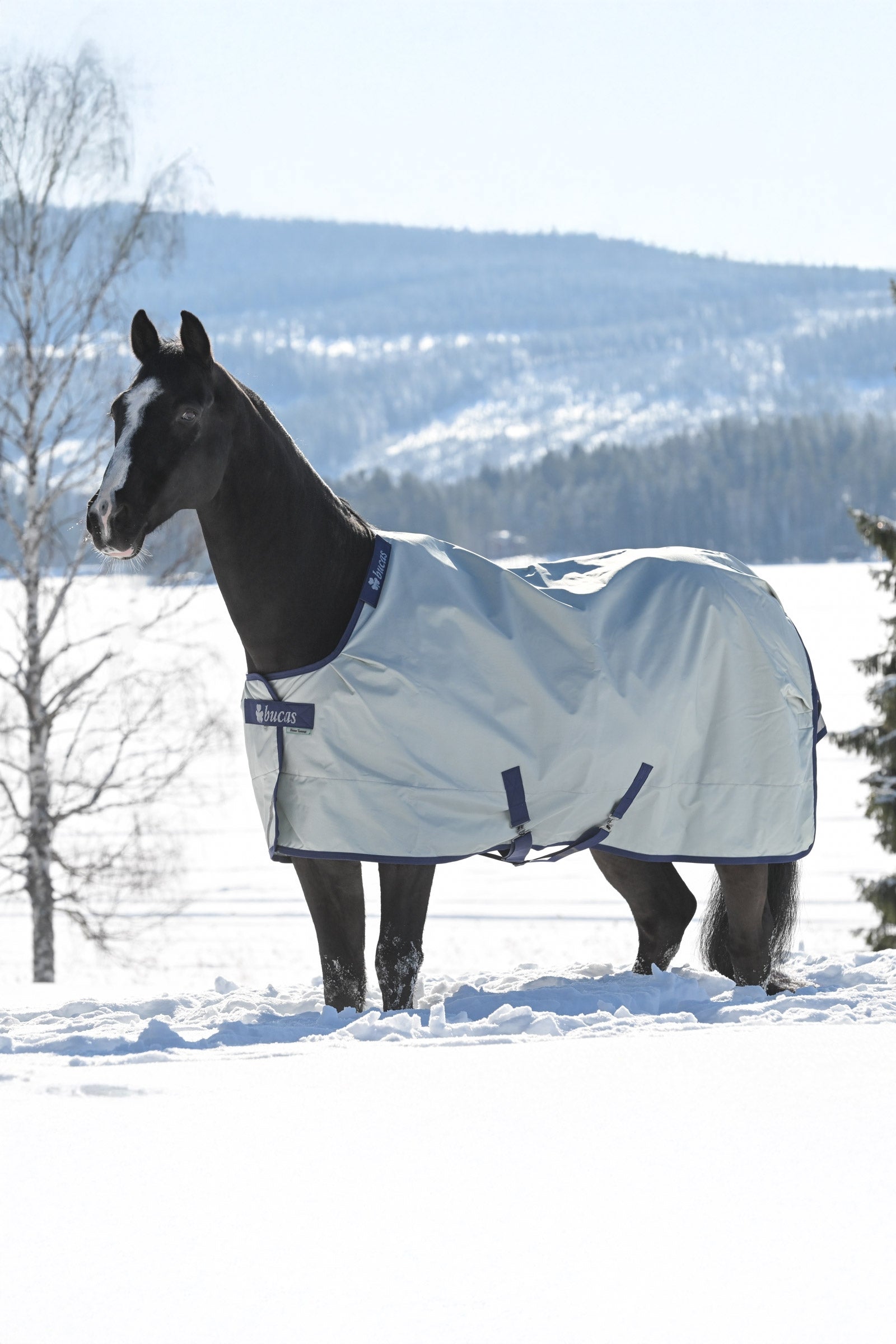 Bucas Power Extra Turnout Rug With Cooling Function, 300g Horse Rugs