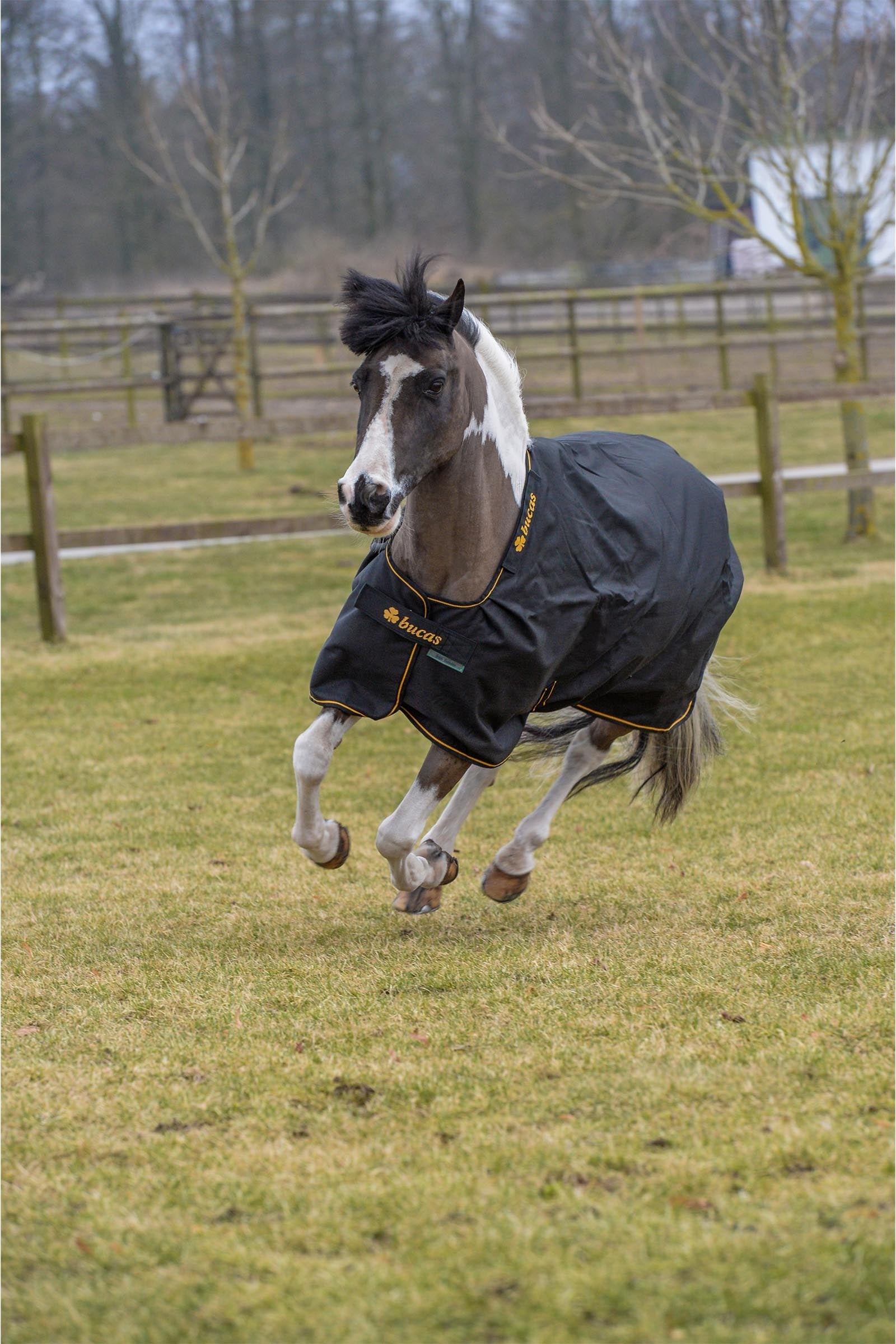 Bucas Irish Turnout Rug, 100 g Horse Rugs