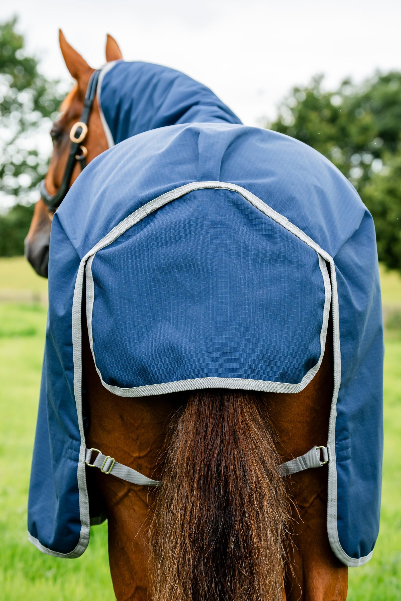 Horseware Amigo Ripstop 900D Turnout Rug, 100 g Horse Rugs