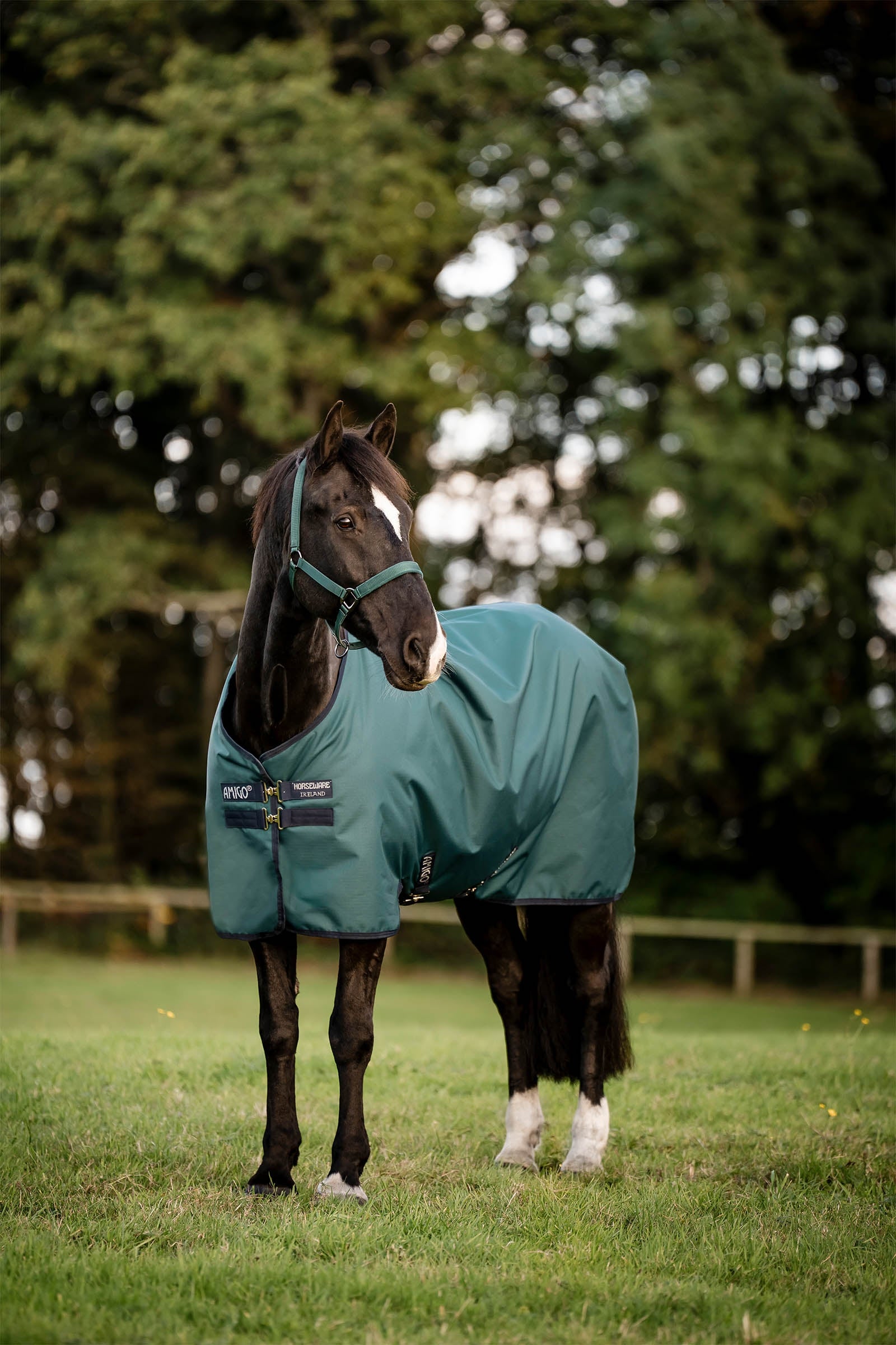 Horseware Amigo Outdoordecke Ripstop 900D, 100 g Pferdedecken