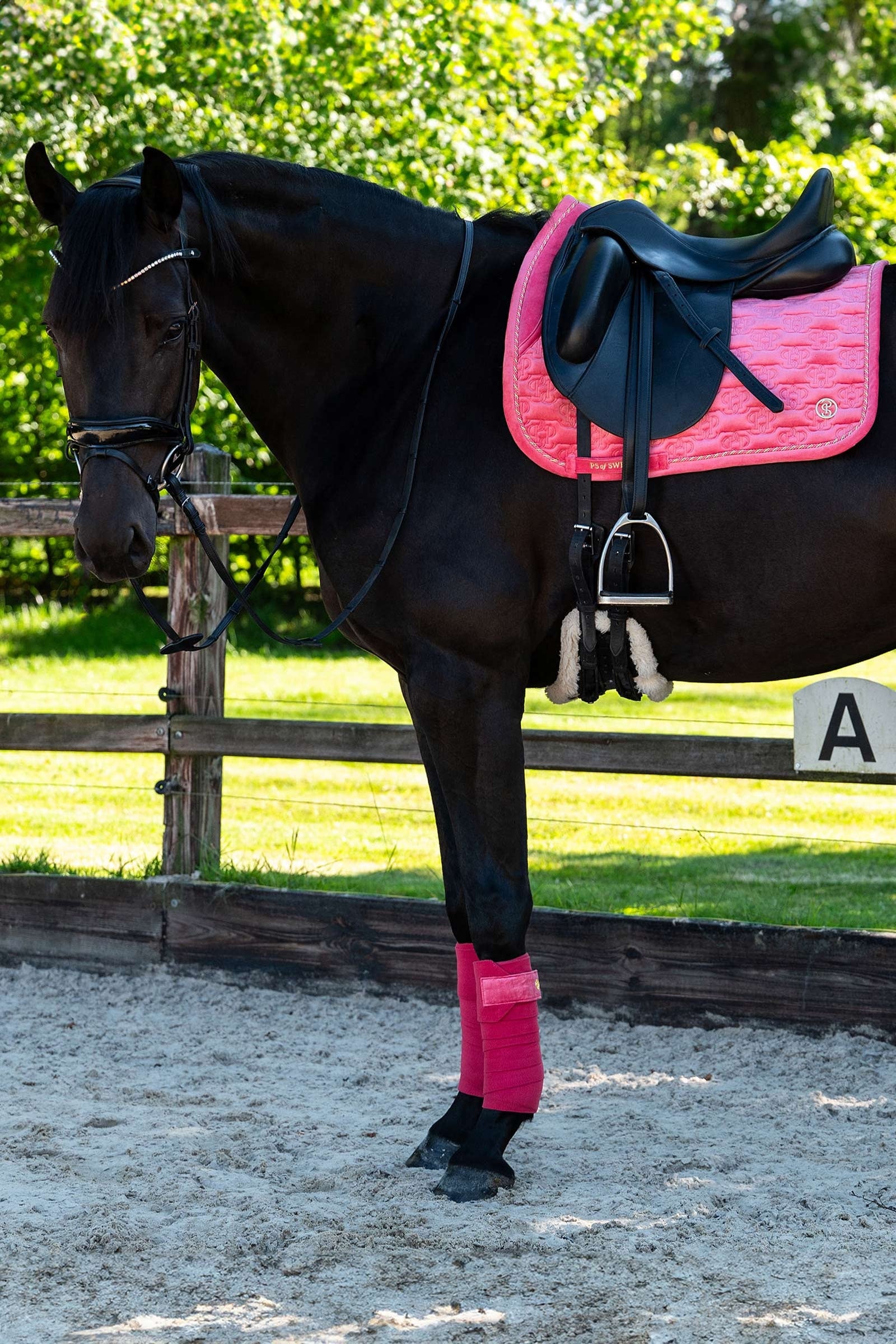 PS of Sweden Saddle Pad Velvet Monogram Dressage Saddle Pads