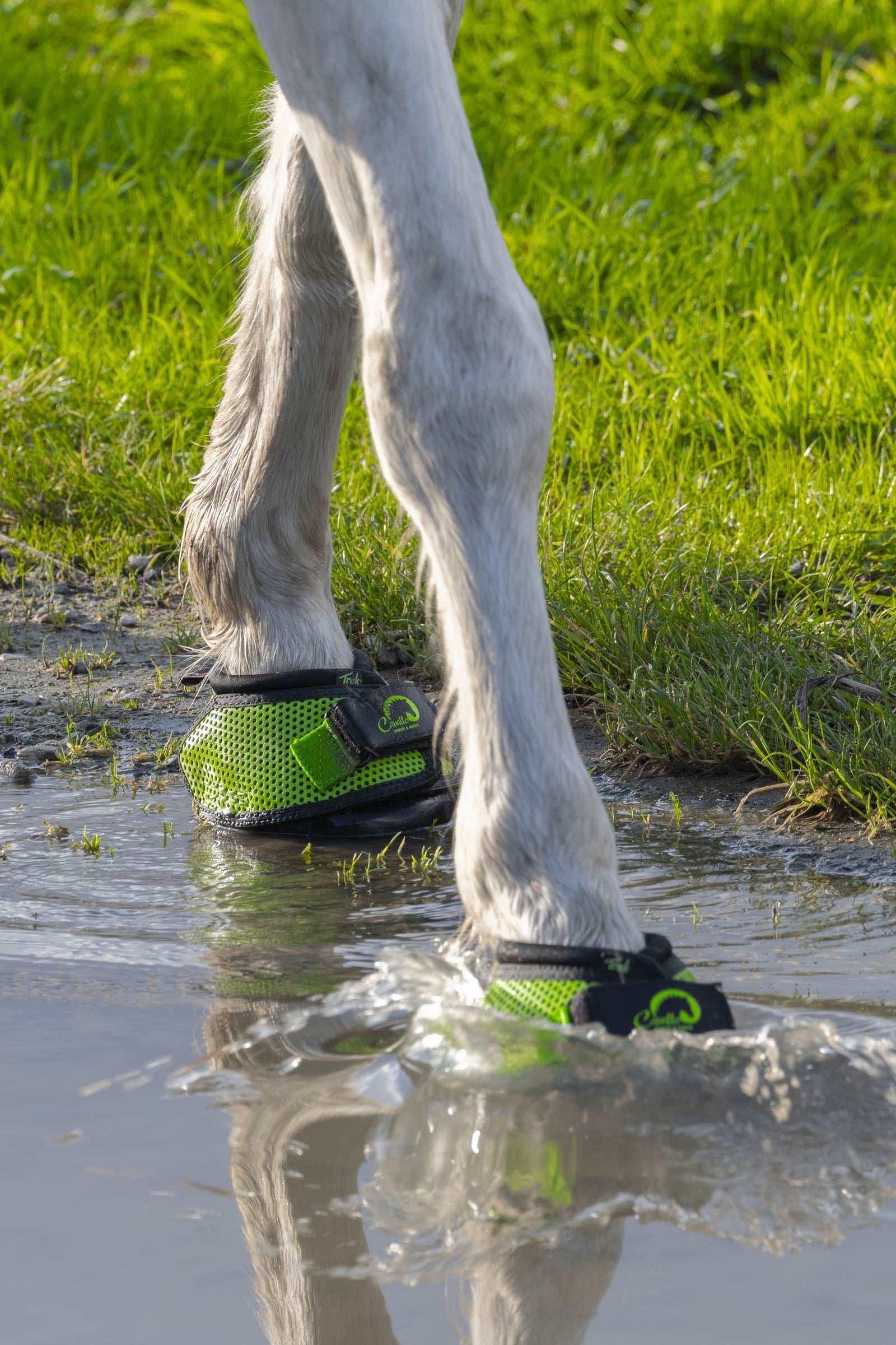 Cavallo Hoof Boots F.R.A. Trek SRS Hoof Shoe (regular/pair) Leg Protection & Hoof Protection for Horses