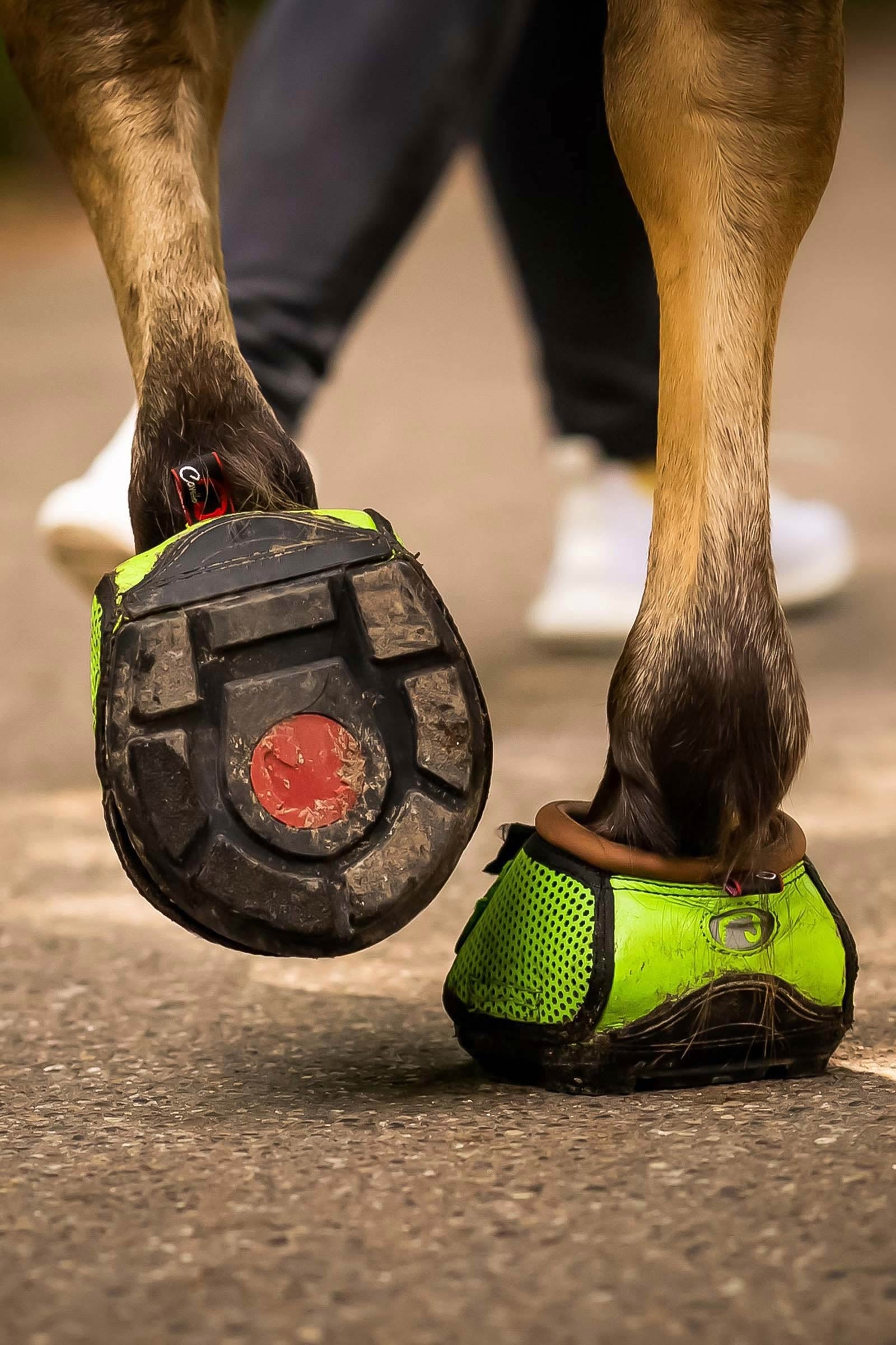 Cavallo Hoof Boots F.R.A. Trek SRS Hoof Shoe (regular/pair) Leg Protection & Hoof Protection for Horses