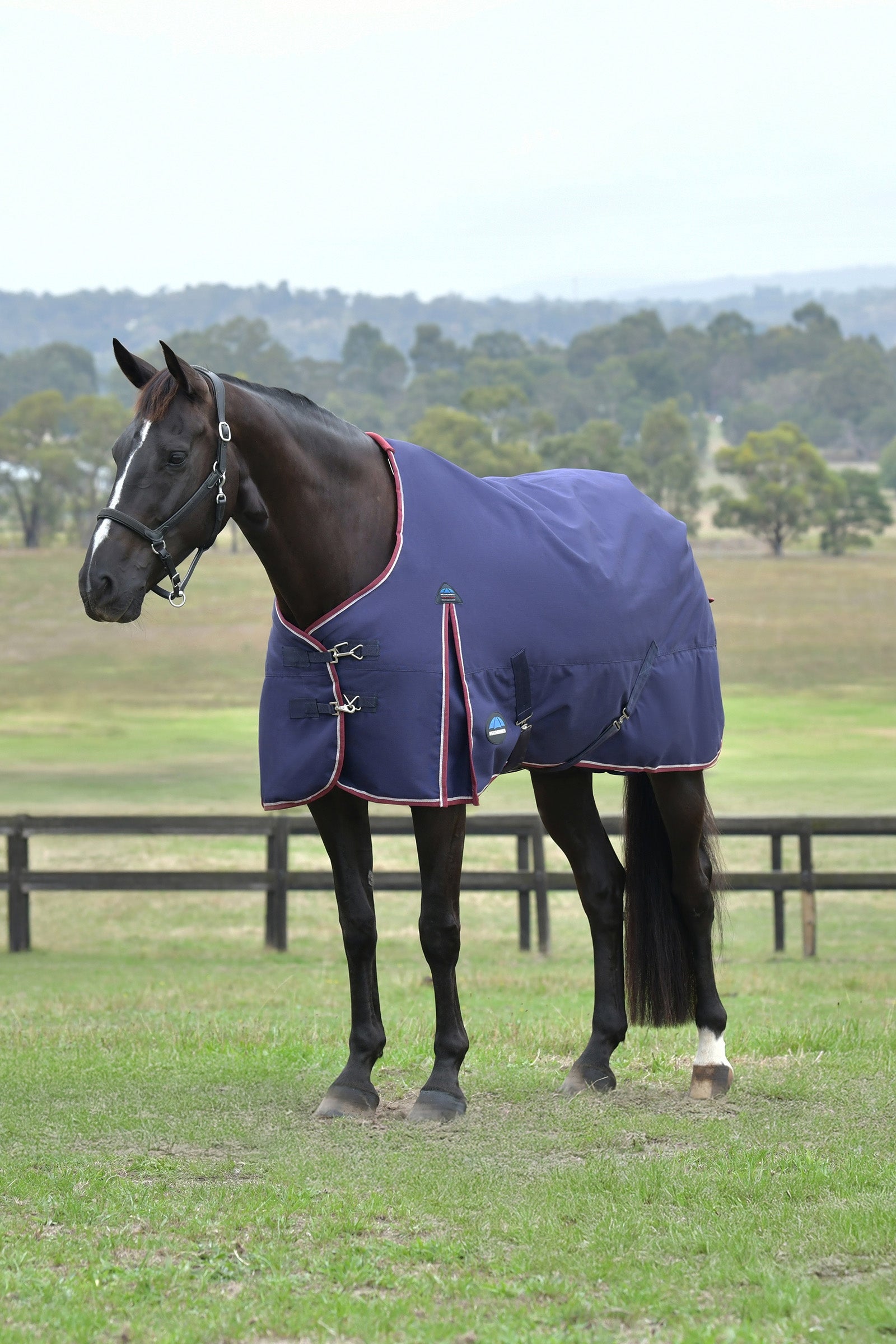 Weatherbeeta ComFiTec Essential Turnout Rug, 0 g Pferdedecken