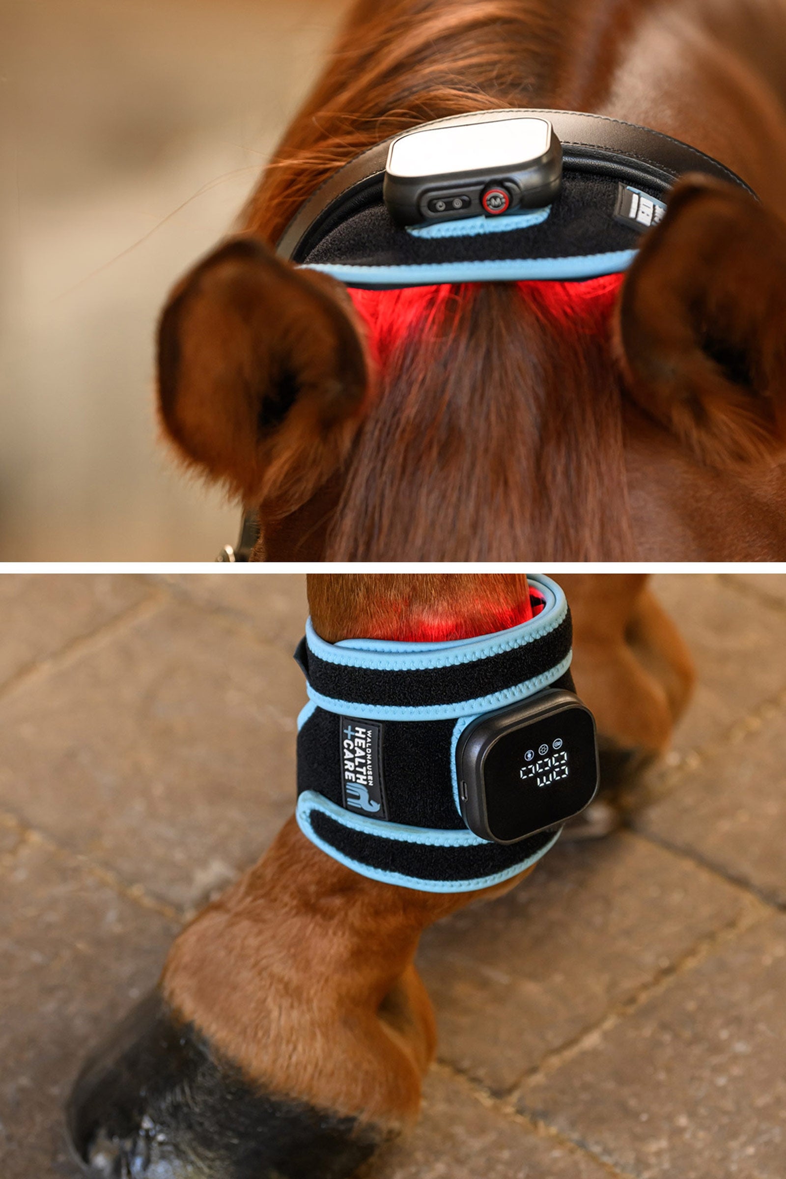 Waldhausen Health + Care Infra-Rot FlexPad Leg Protection & Hoof Protection for Horses