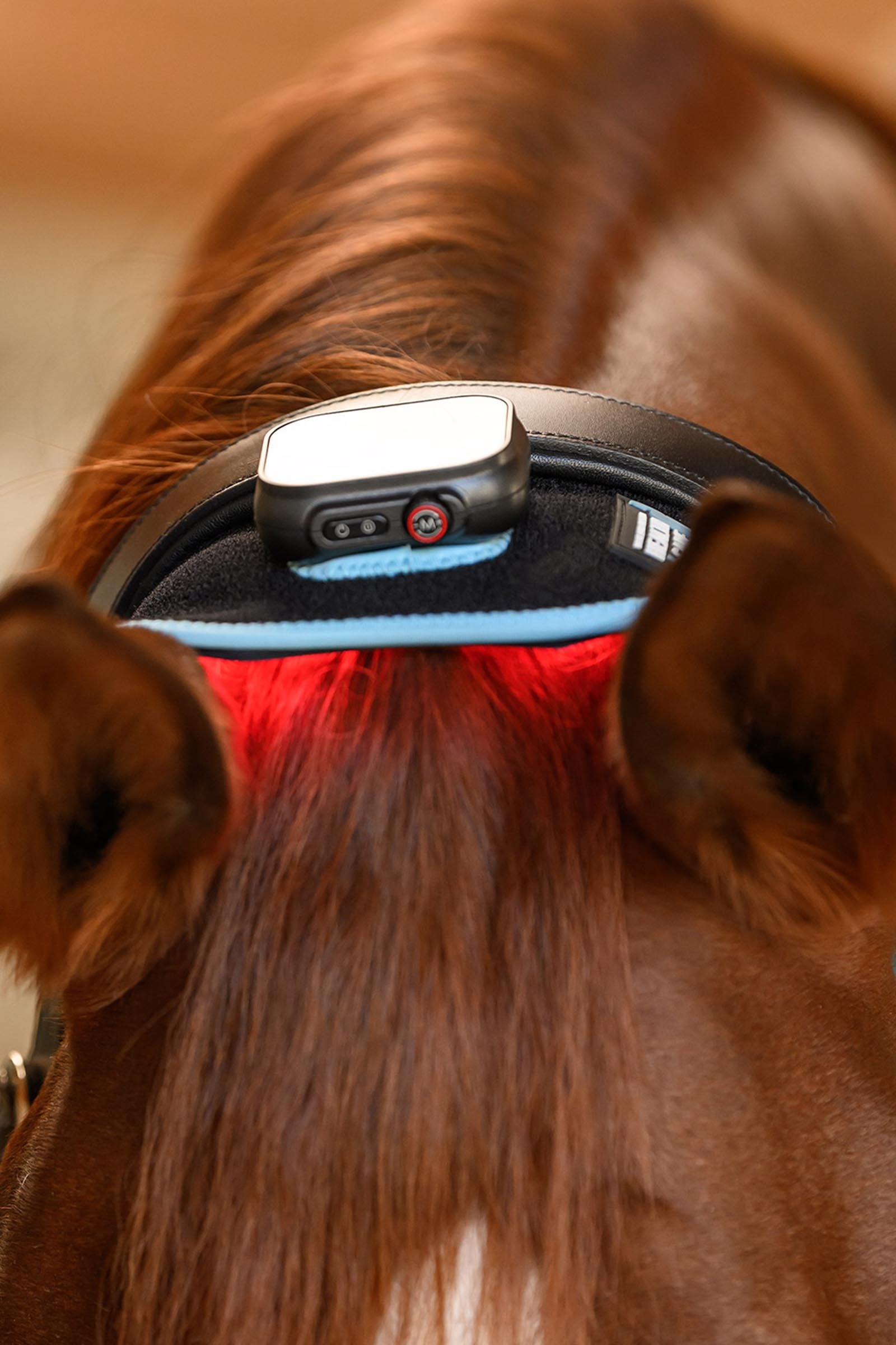 Waldhausen Health + Care Infra-Red FlexPad Leg Protection & Hoof Protection for Horses