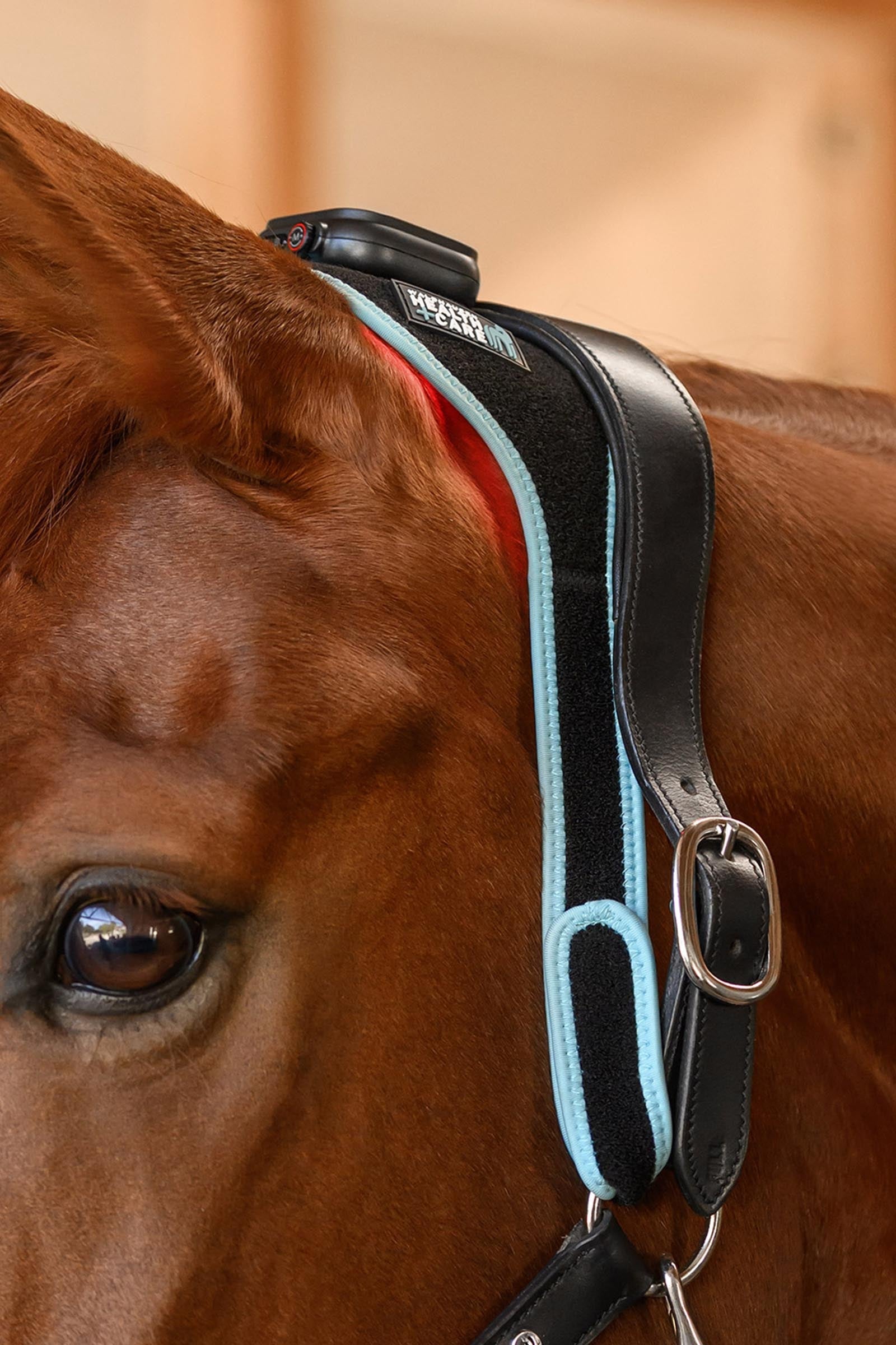 Lifestyle shot 6