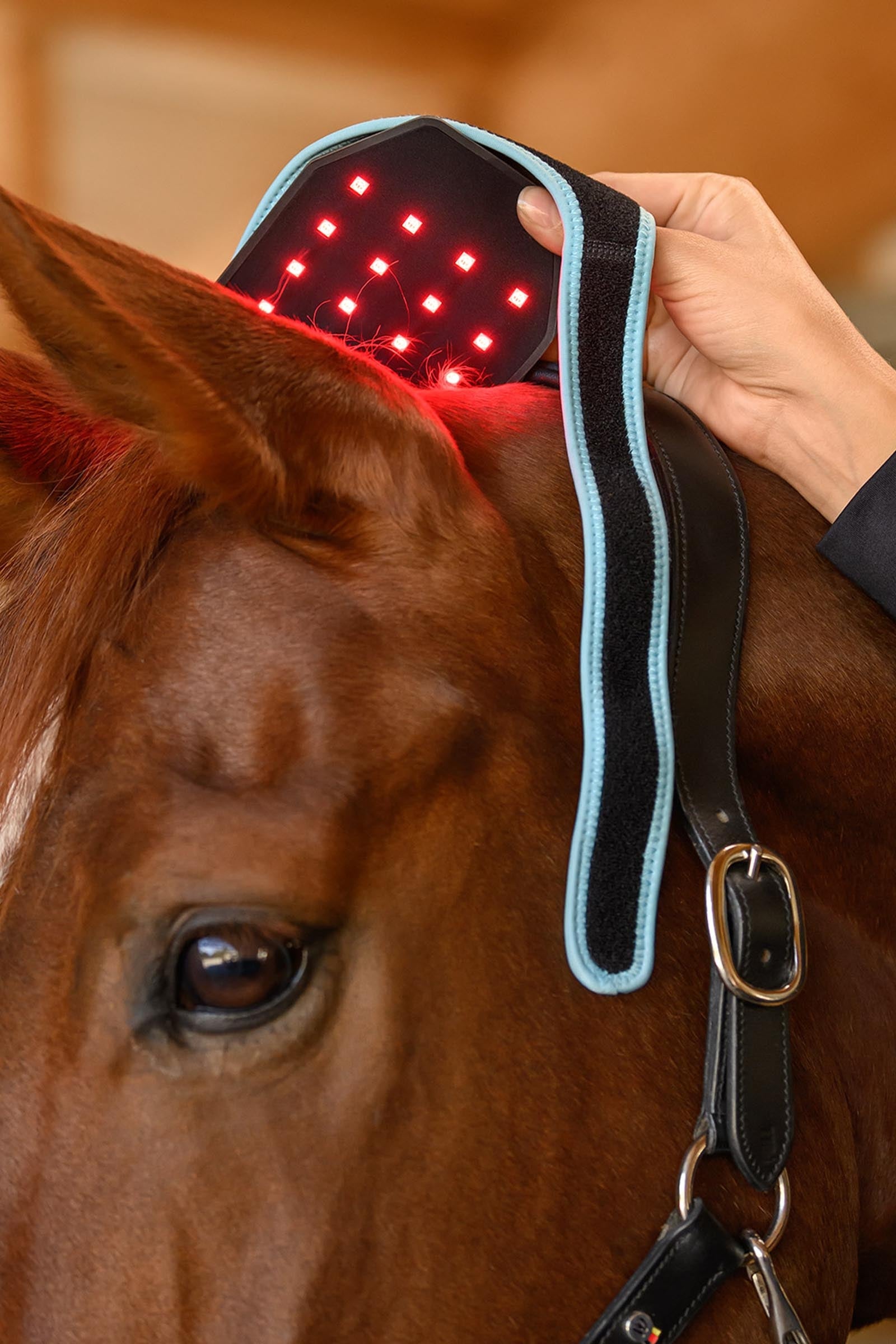 Waldhausen Health + Care Infra-Red FlexPad Leg Protection & Hoof Protection for Horses