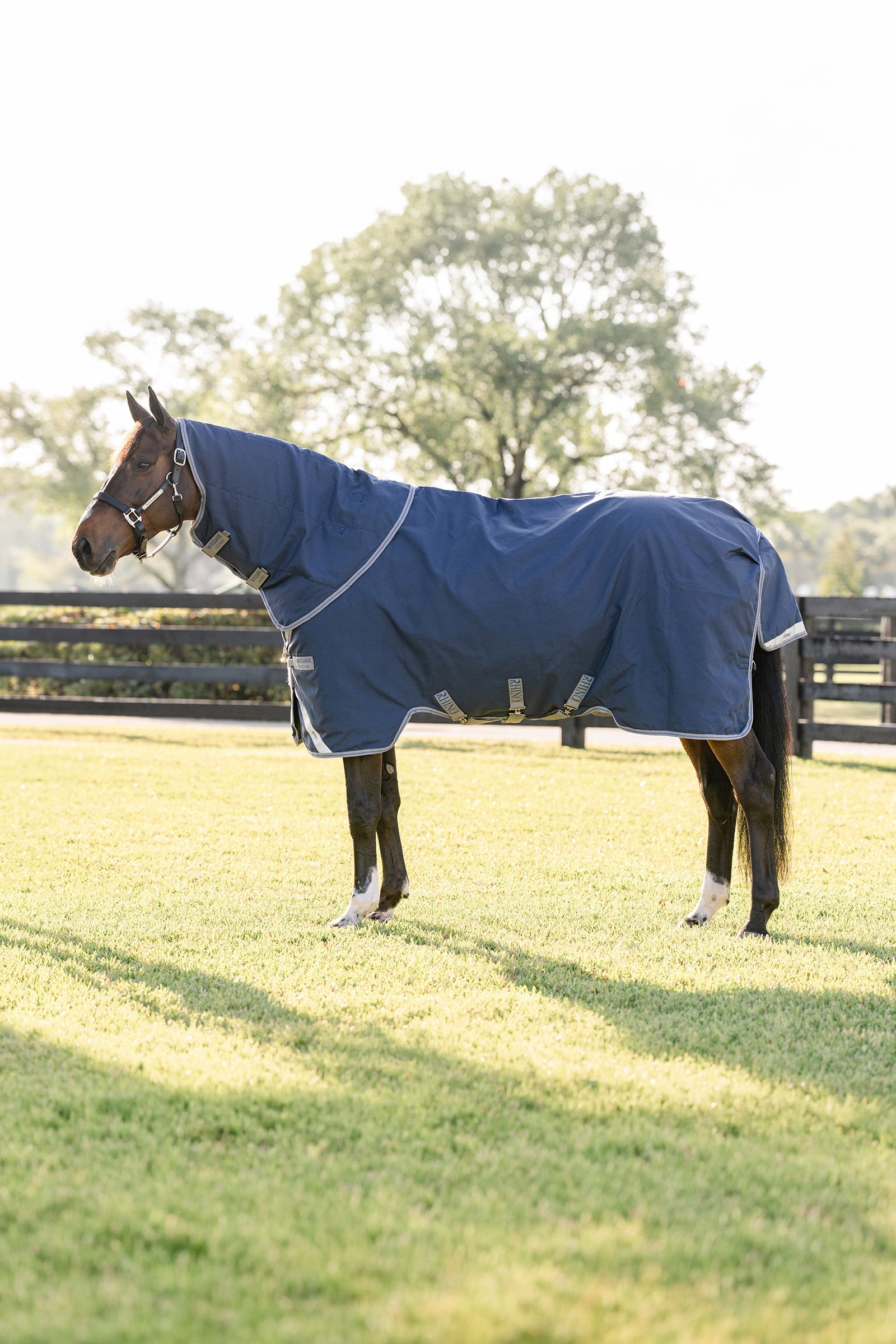Horseware Rhino Plus Vari-Layer Turnout Rug With Detachable Neck, 250g Horse Rugs