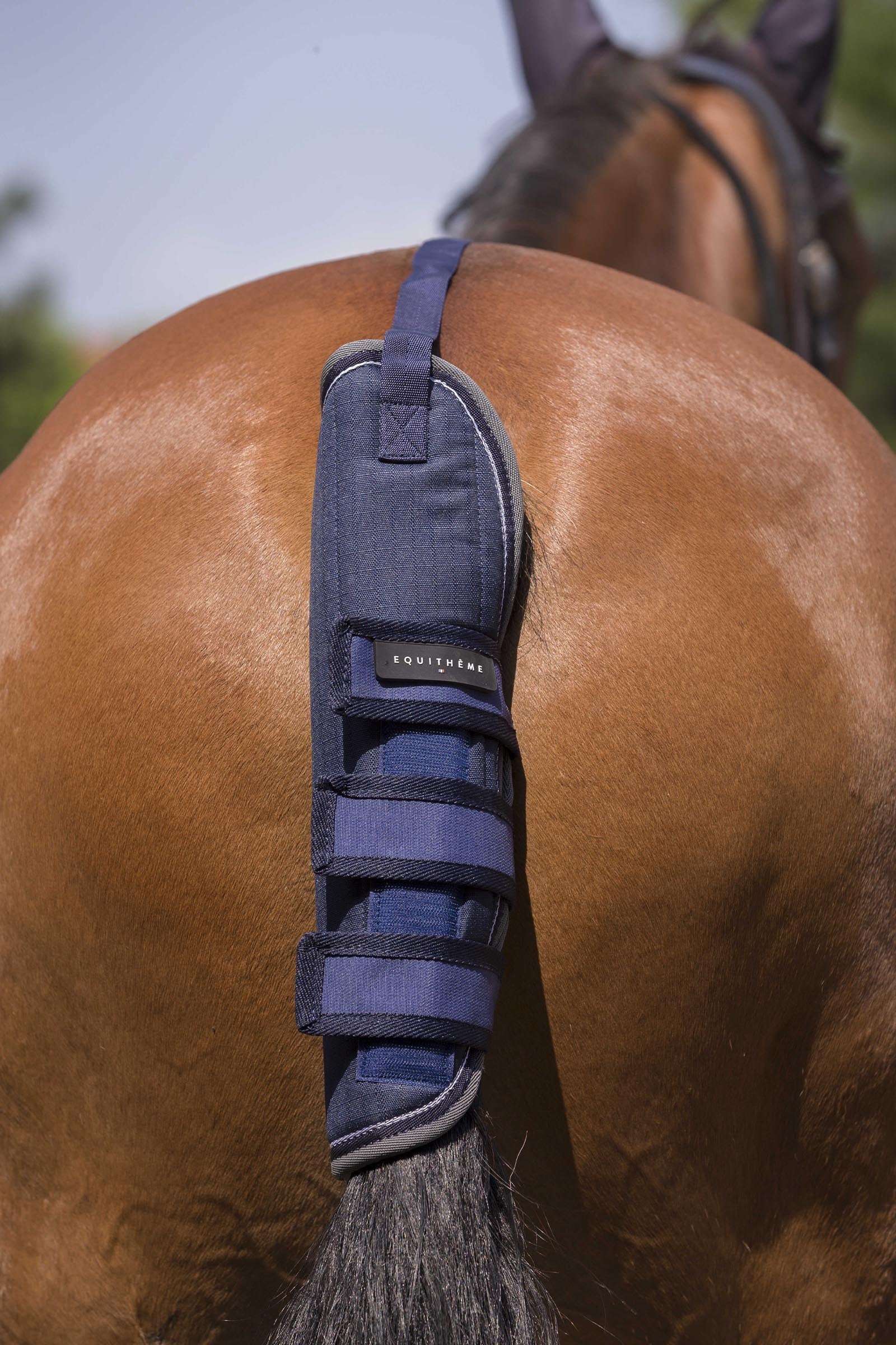 Equi Theme EQUITHÈME TYREX 600D Schweifschoner Leg & Hoof Protection