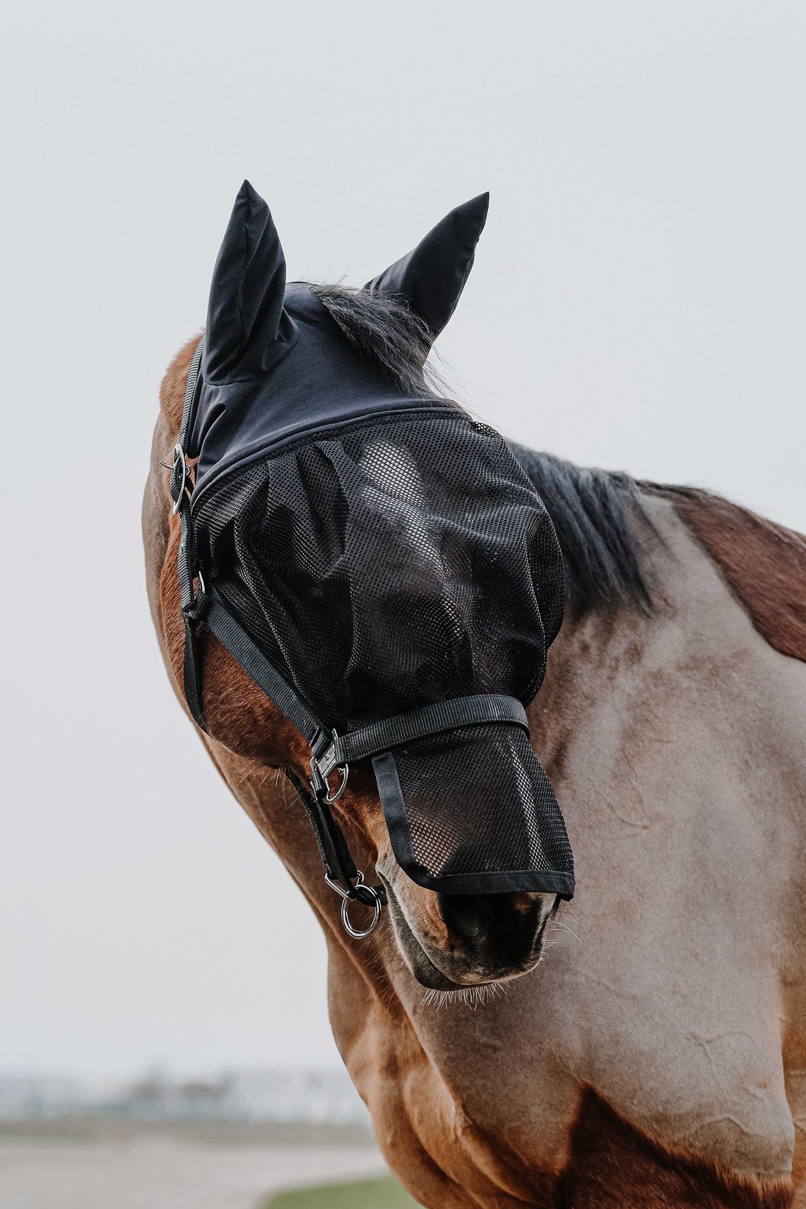 Equi Theme EQUITHÈME Halter + Mask Antifly Protection for Horses