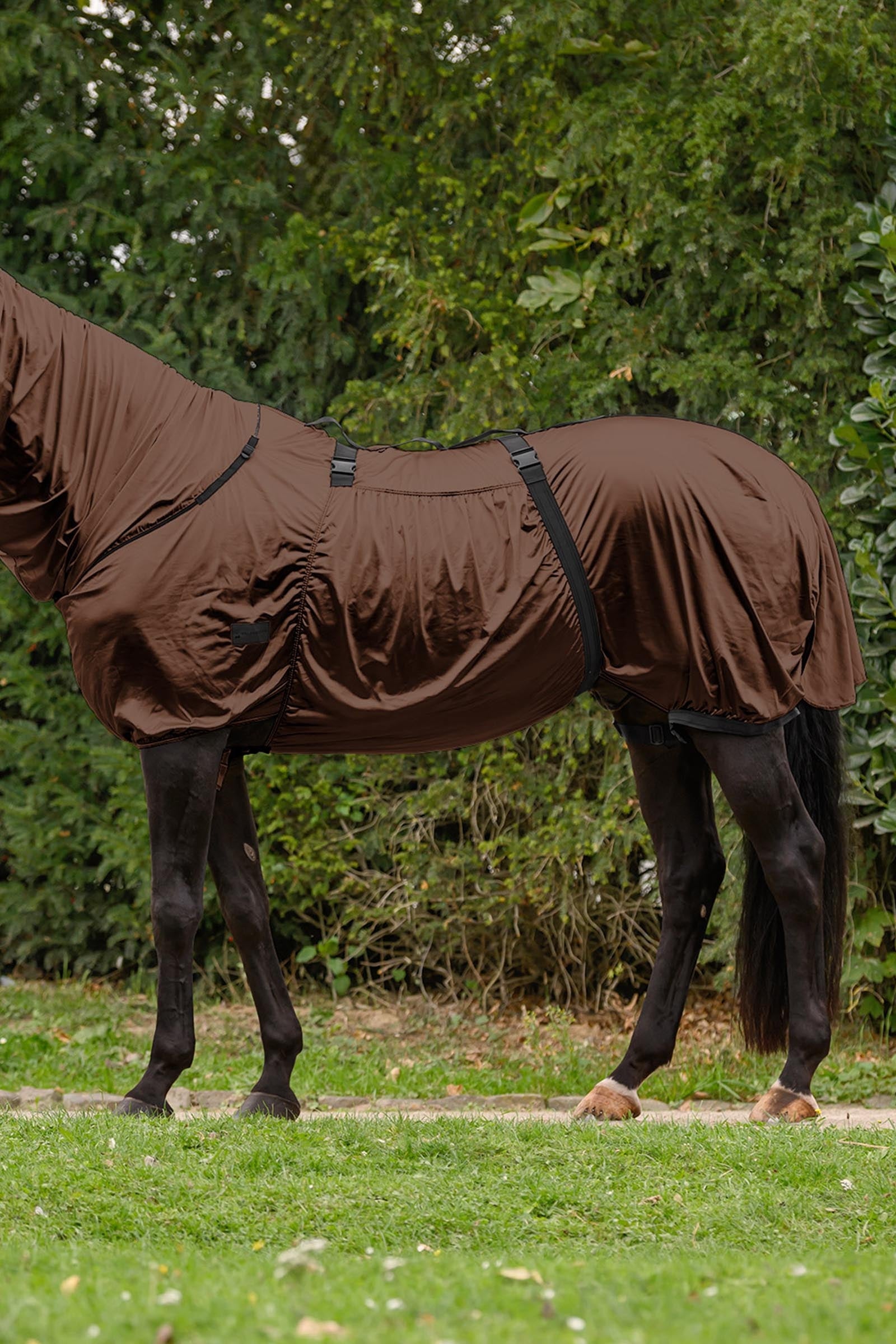 Waldhausen Eczema Rug Horse Rugs
