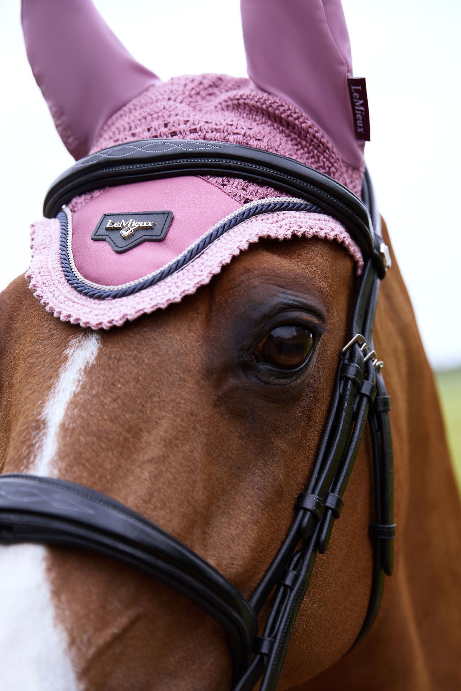 LeMieux Loire Fly Hood Saddle Pads