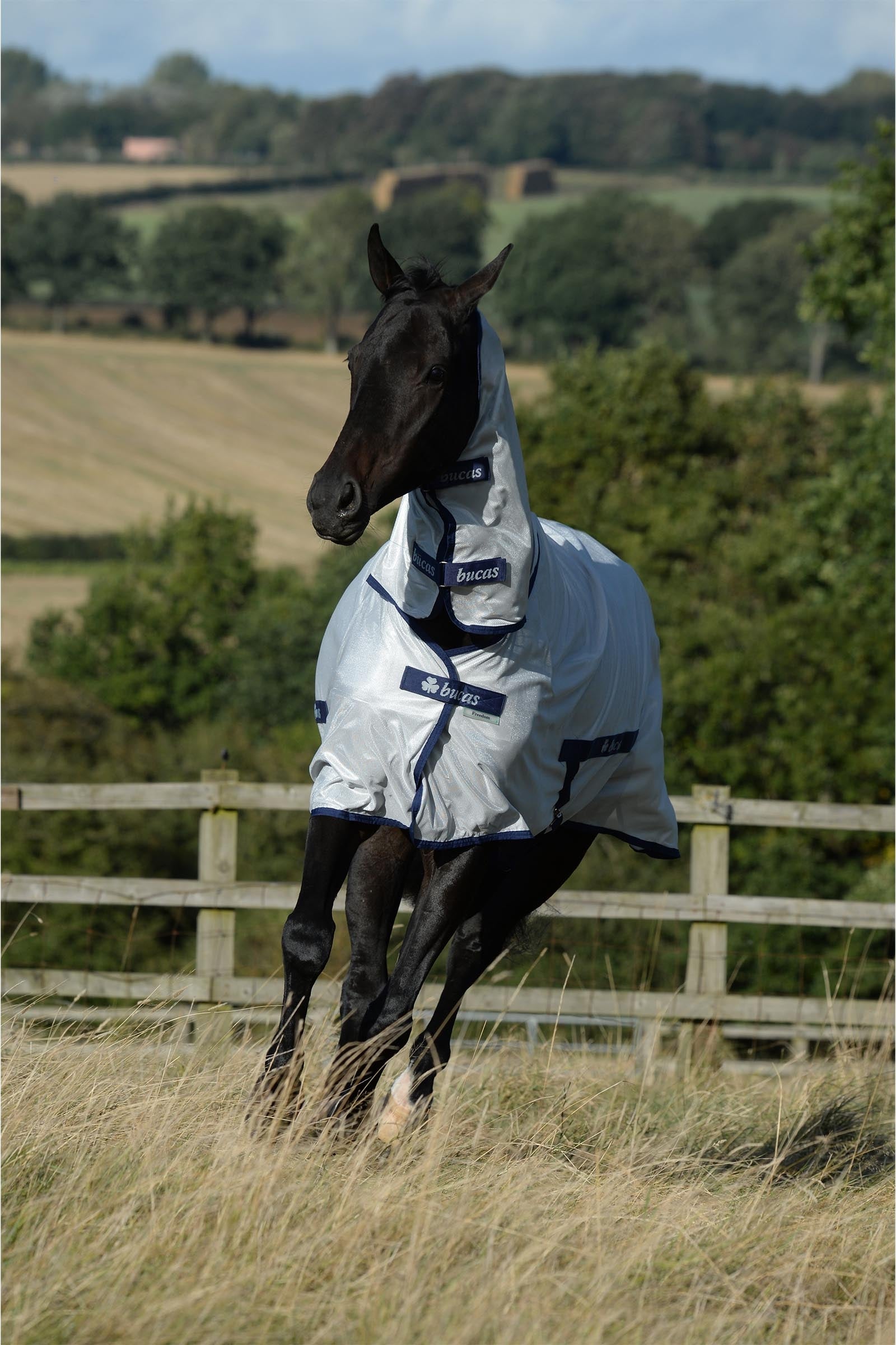 Bucas Freedom Fly Sheet F/N Horse Rugs