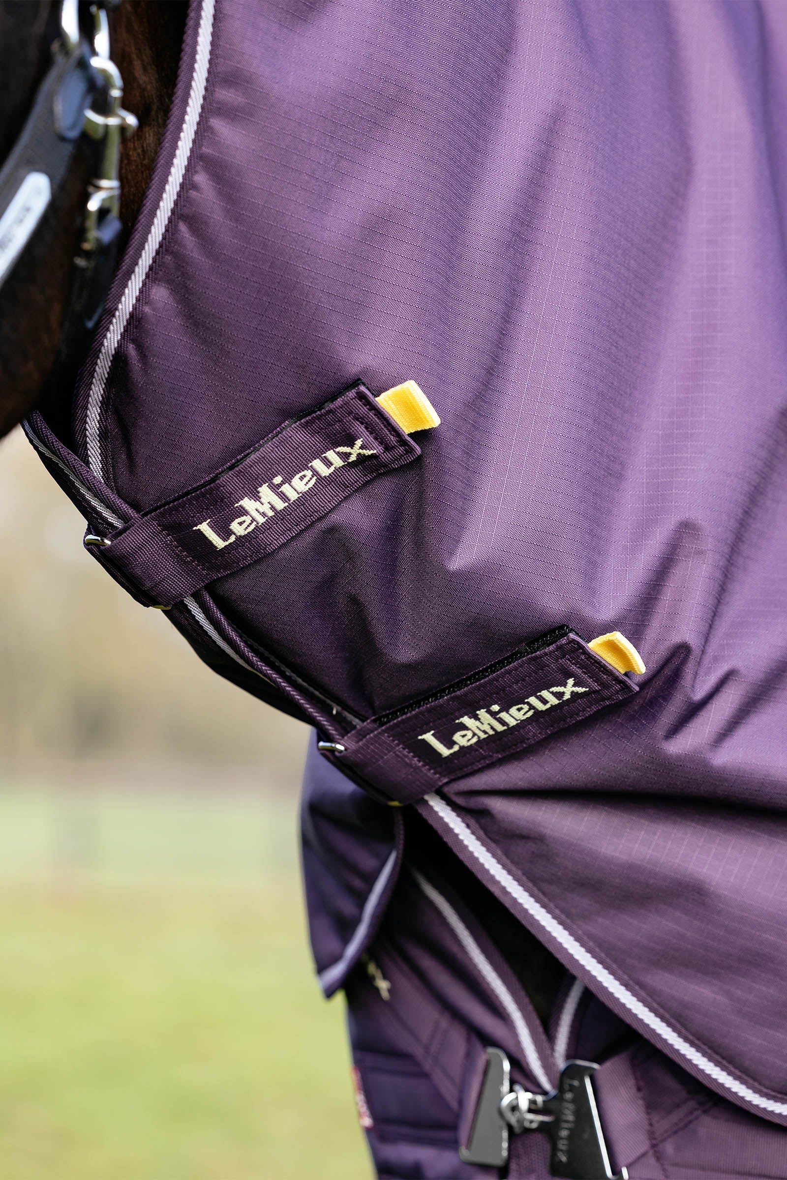 LeMieux Arika Ripstop Turnout Rug With Detachable Neck, 200 g Horse Rugs
