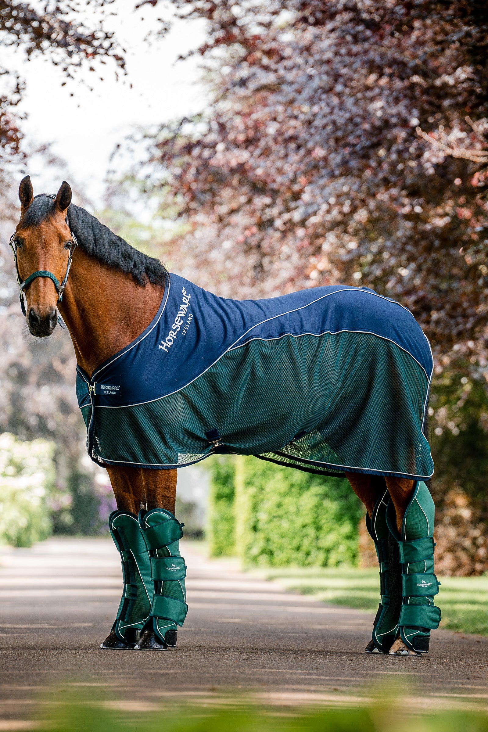 Horseware Signature Sport Cooler Horse Rugs