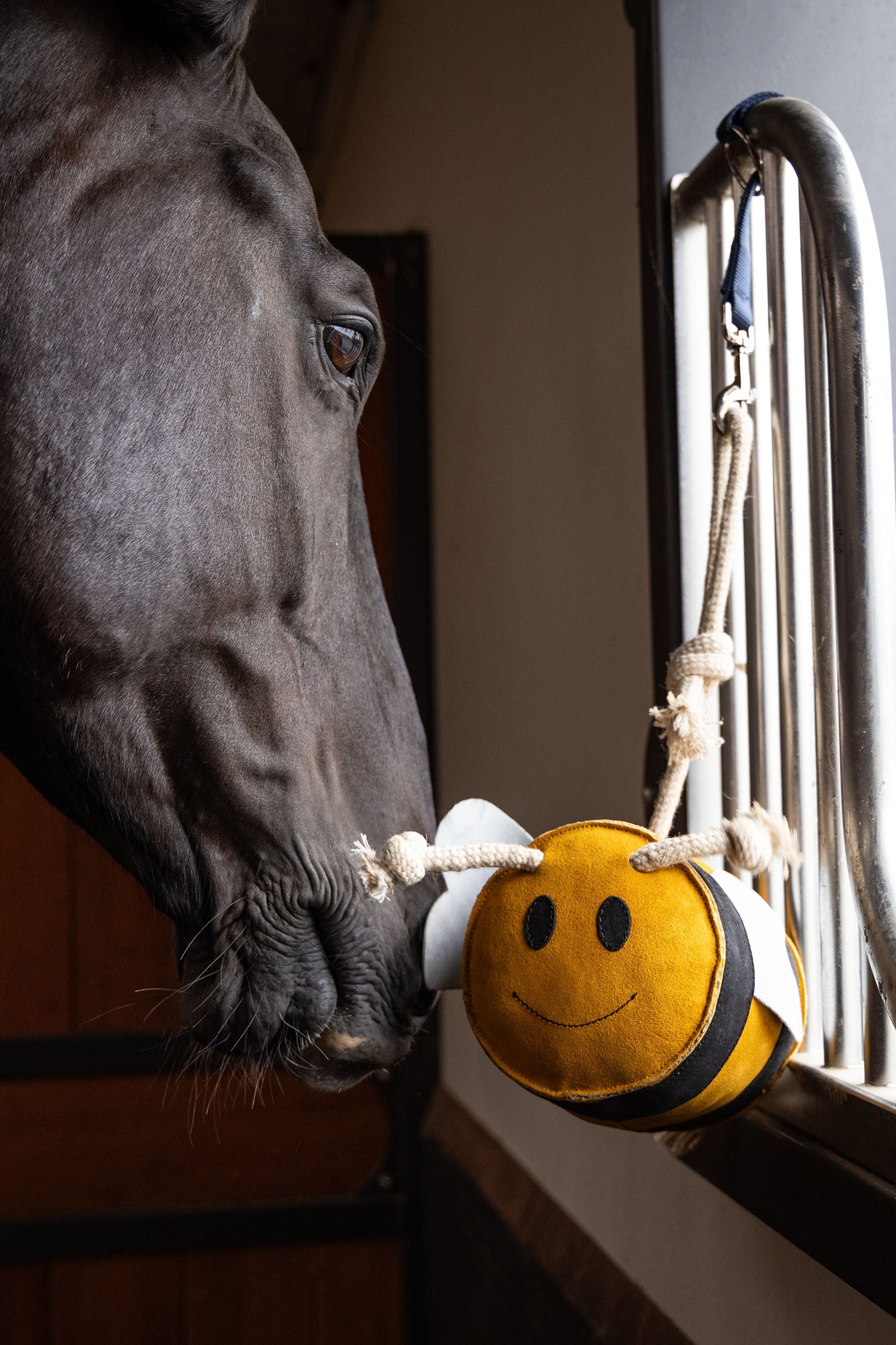 LeMieux Horse Toy Bee Horse Toys & Riding Arena Supplies