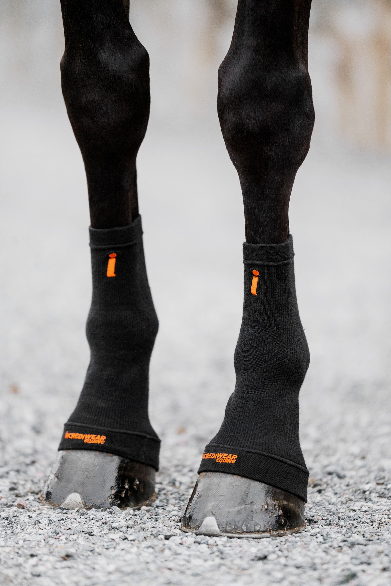 Incrediwear Circulation Hoof Socks Leg Protection & Hoof Protection for Horses