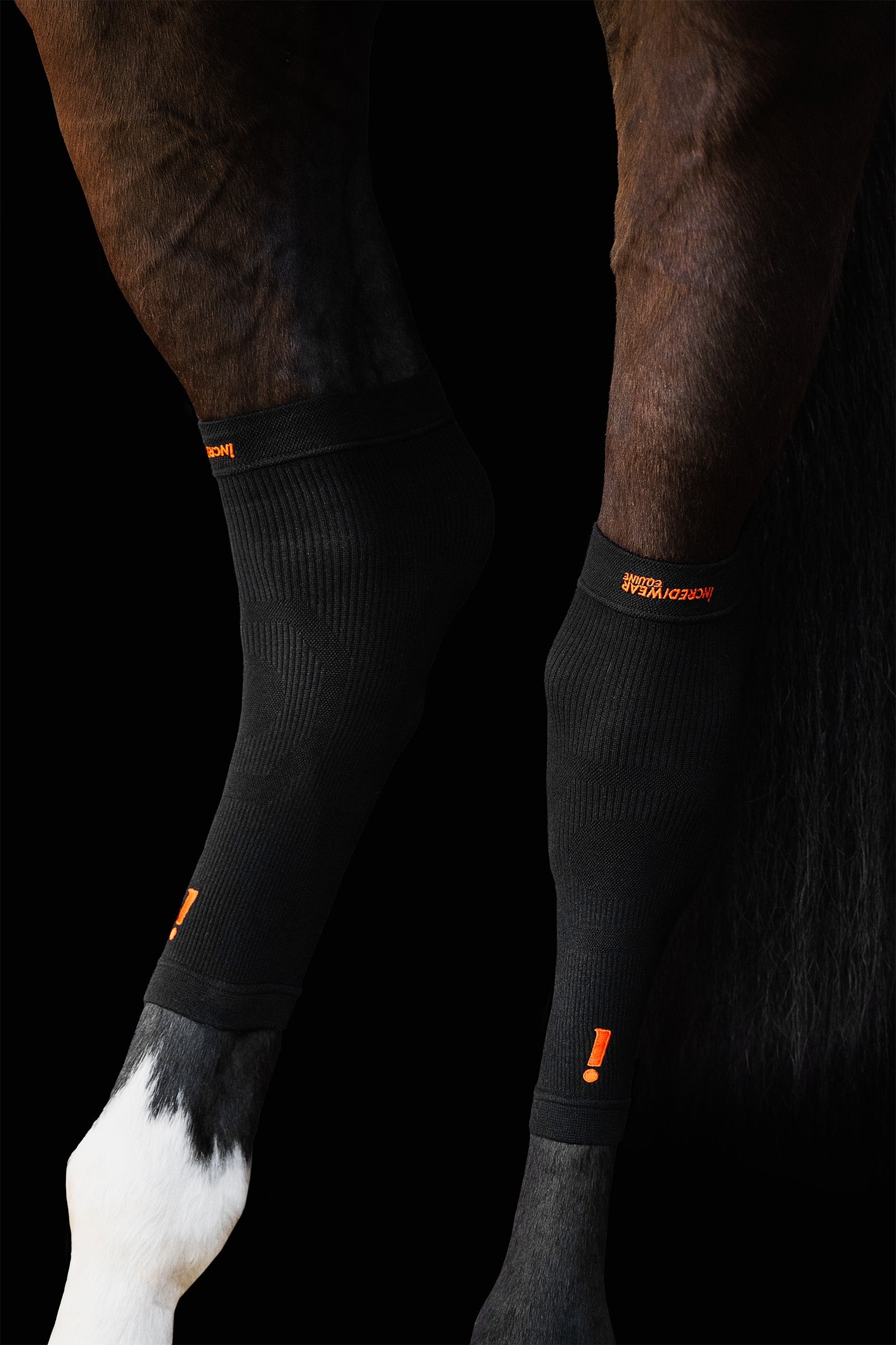 Incrediwear Equine Hoof Socks Leg Protection & Hoof Protection for Horses