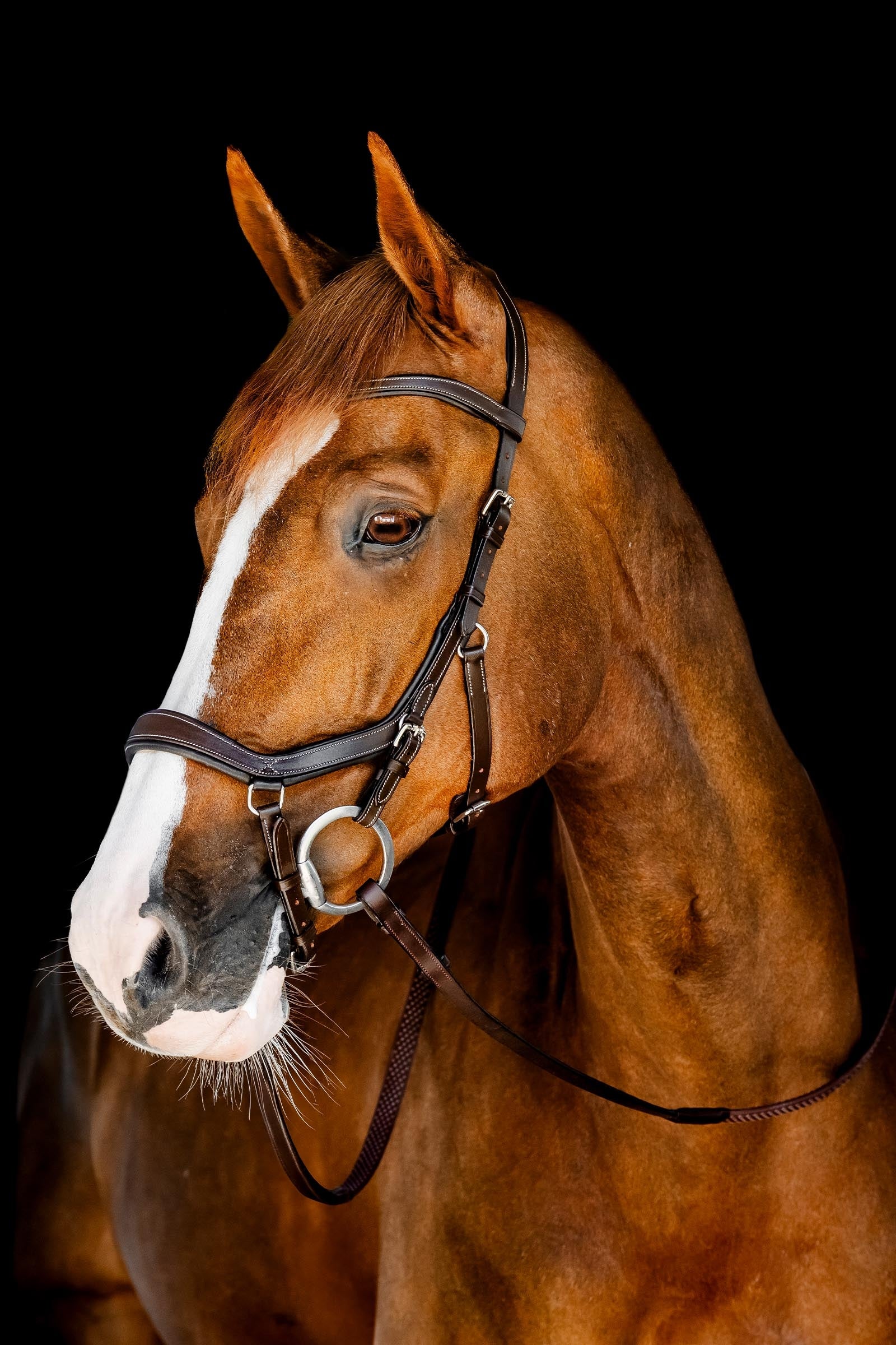 Horseware Rambo Micklem Competition Bridle Bridles & Reins