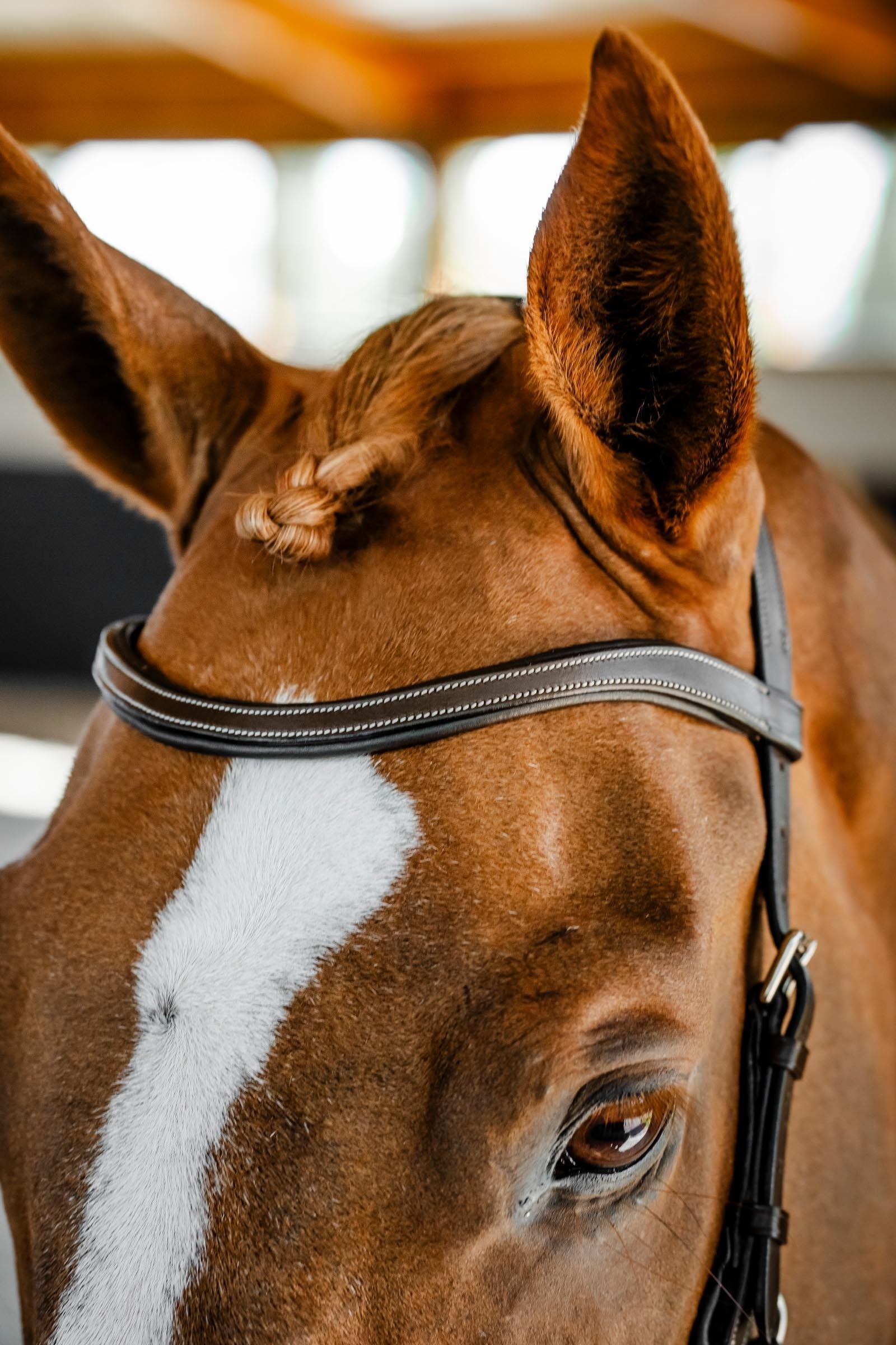 Horseware Rambo Micklem Competition Bridle Bridles & Reins