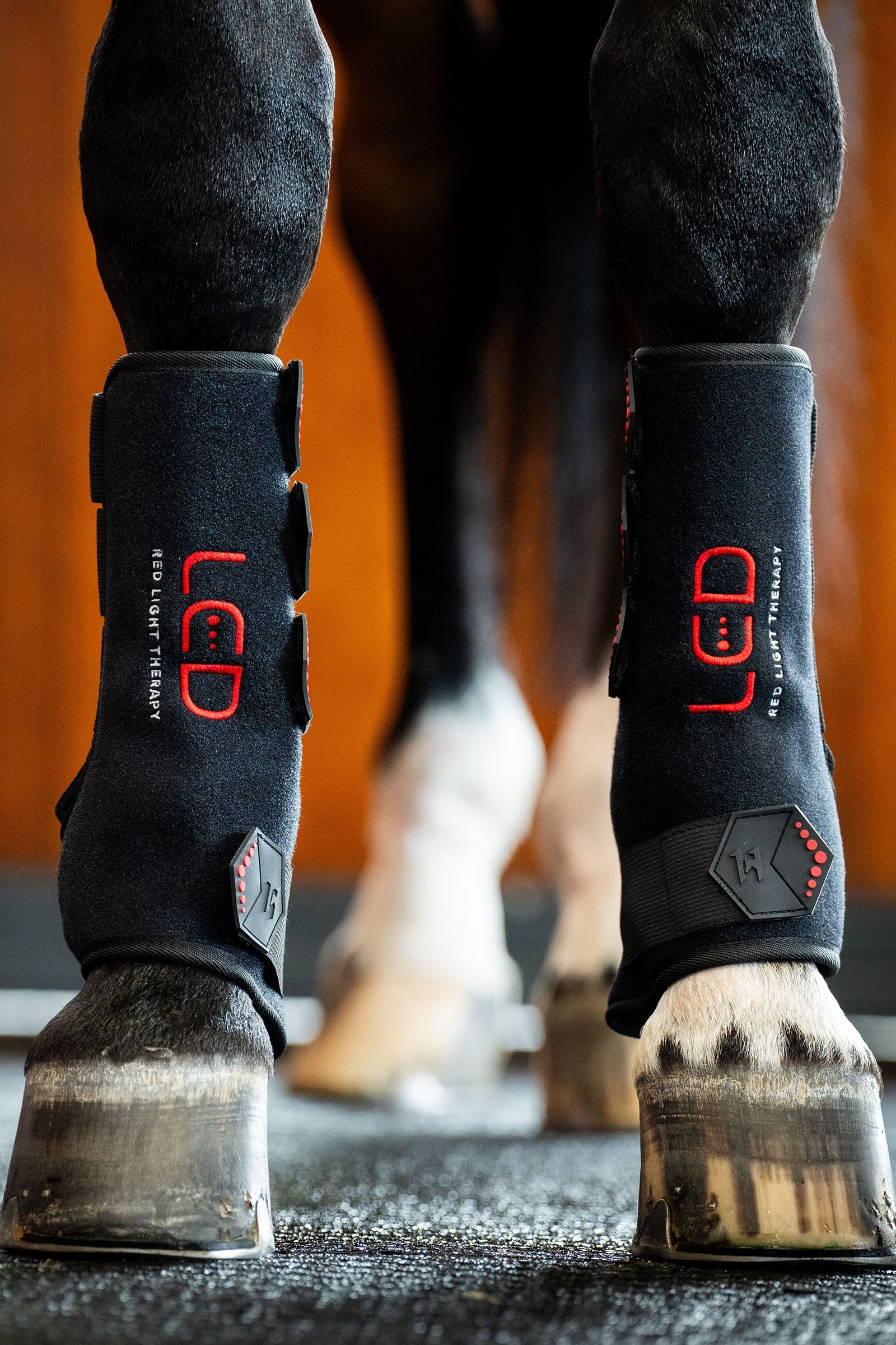 Horseware LED Rotlicht Therapie Gamasche (1 Stk.) Leg & Hoof Protection