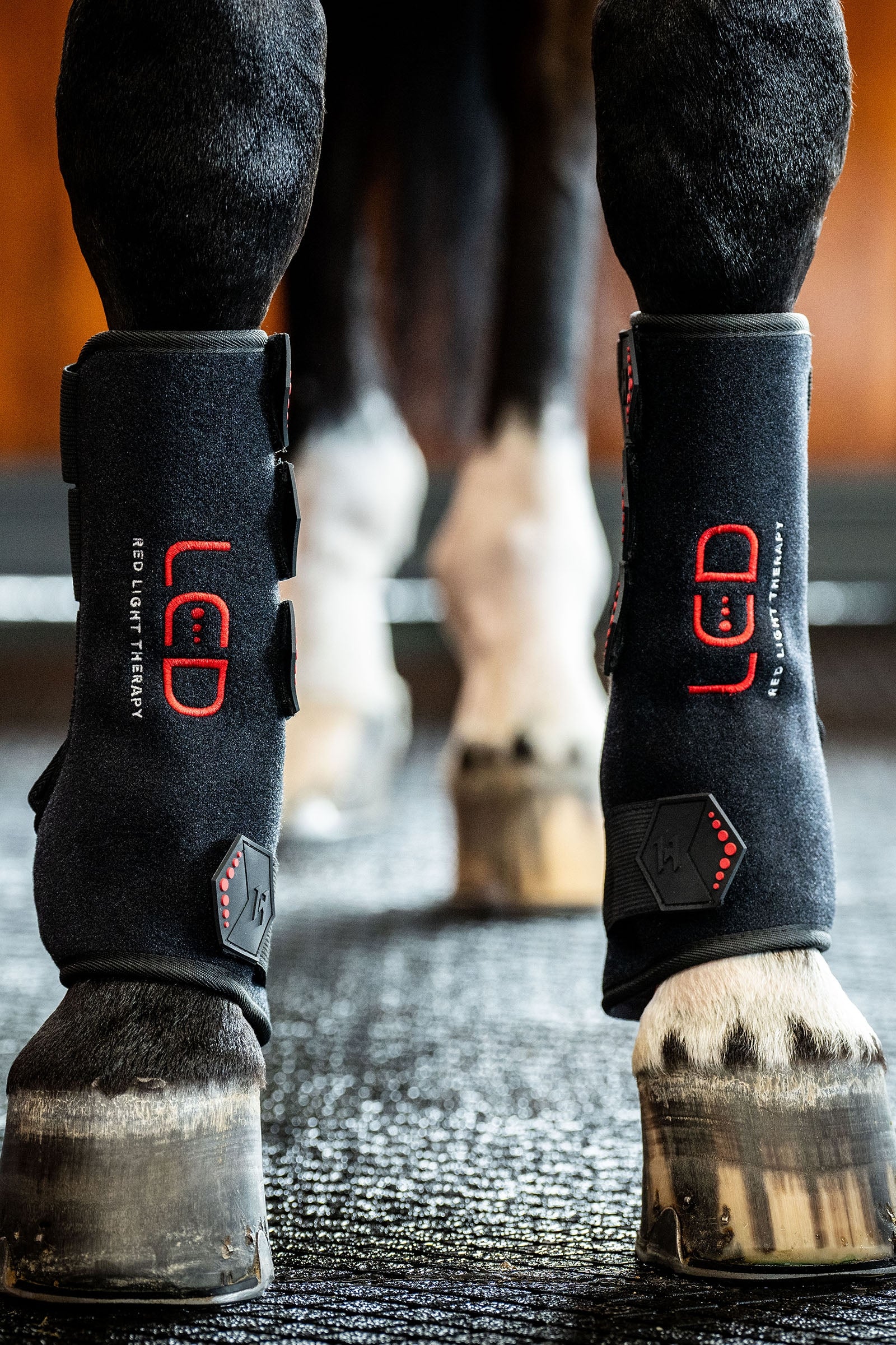 Horseware LED Red Light Therapy Leg Wrap (1 pc.) Leg & Hoof Protection