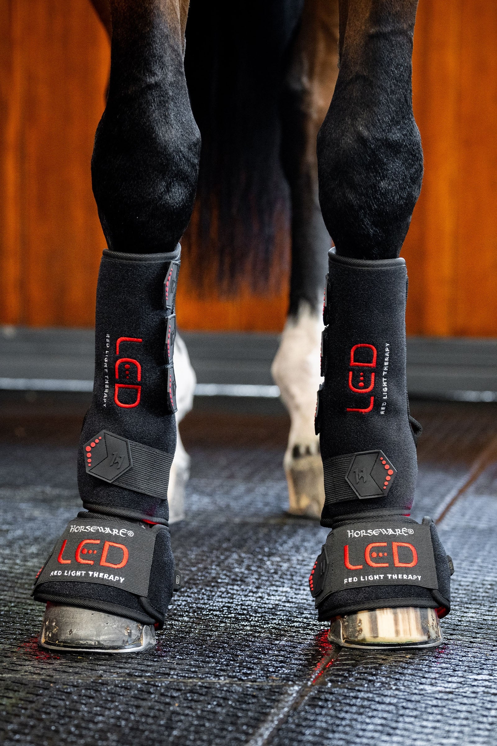 Horseware LED Red Light Therapy Leg Wrap (1 pc.) Leg Protection & Hoof Protection for Horses