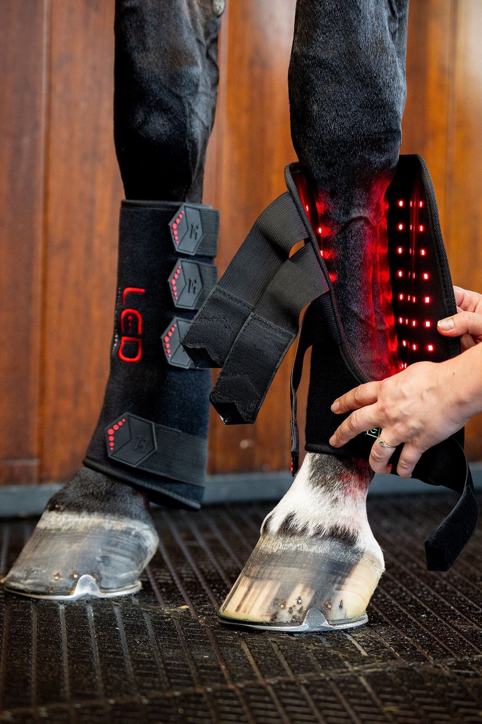 Horseware LED Red Light Therapy Leg Wrap (1 pc.) Leg & Hoof Protection