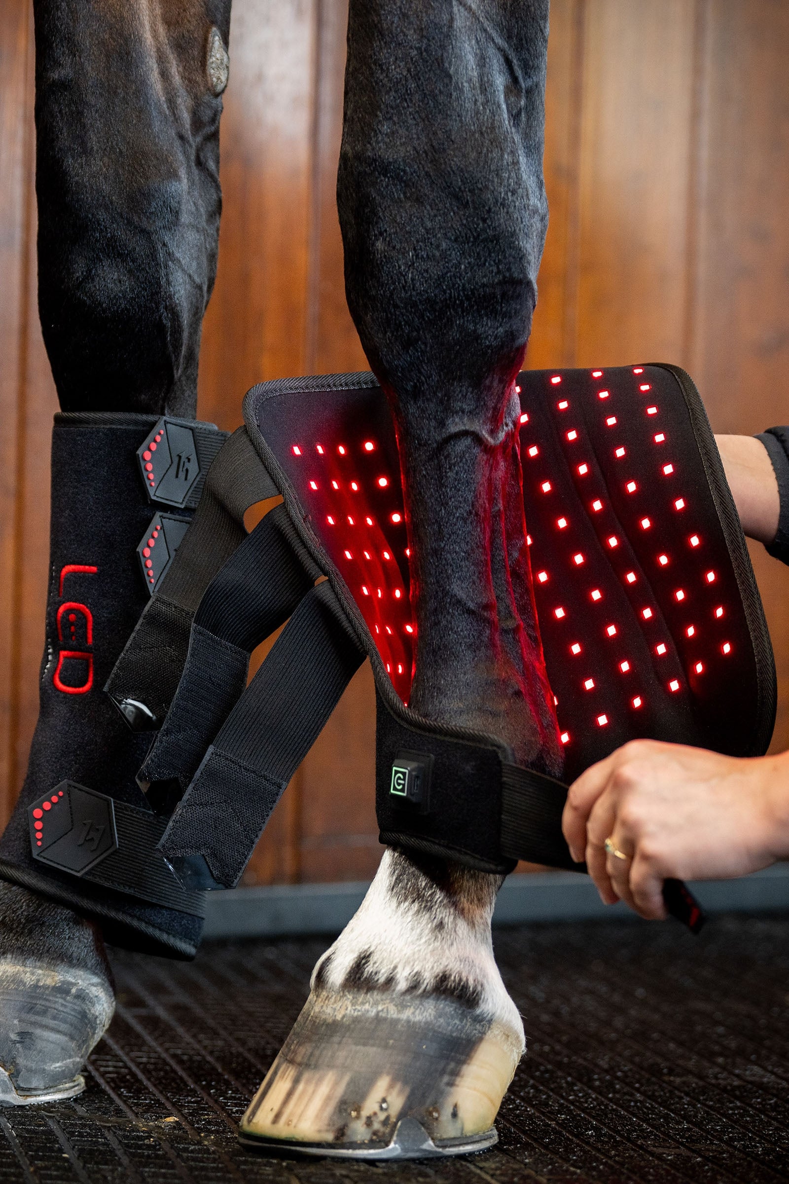 Horseware LED Red Light Therapy Leg Wrap (1 pc.) Leg & Hoof Protection